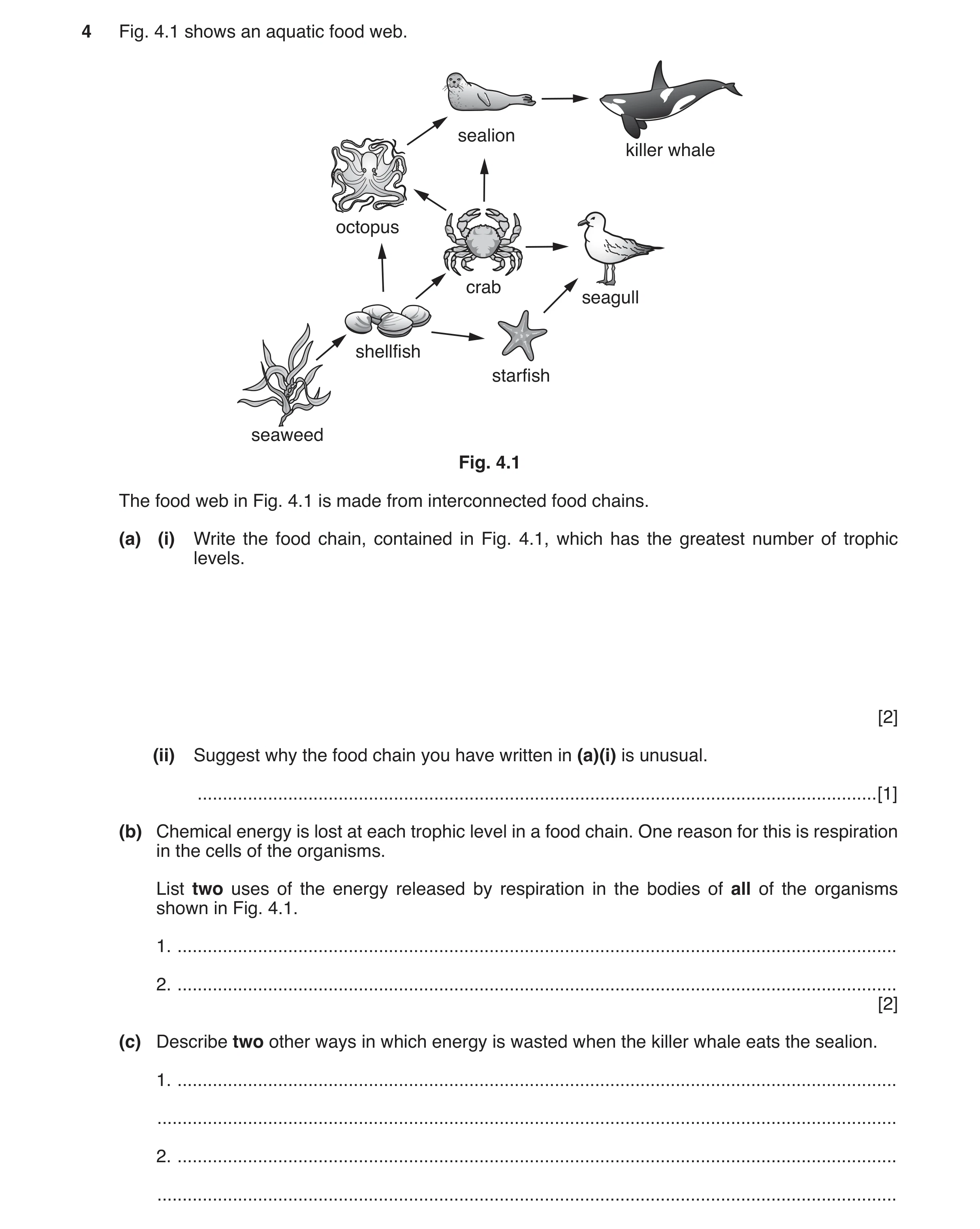 Question 2: Fig. 4.1 shows an aquatic food web. sealion killer whale octopus crab seagull shellfish starfish seaweed Fig. 4.1 The food web in Fig. 4.1 …