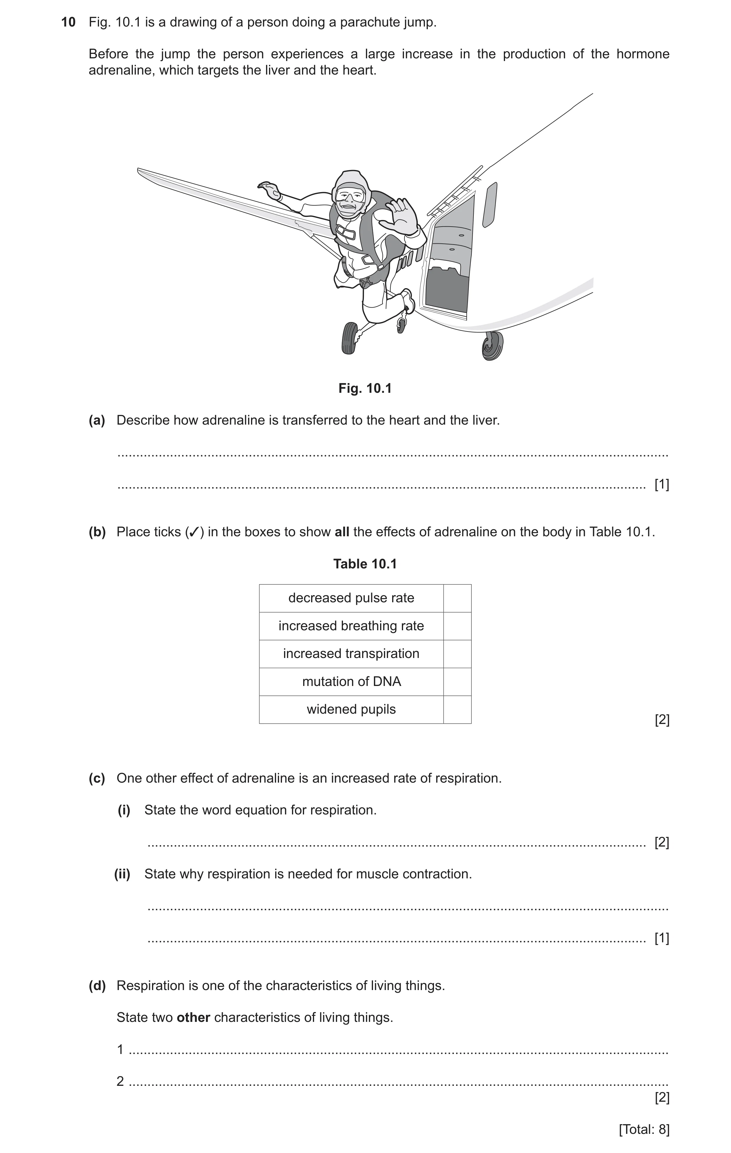 Question 9: Fig. 10.1 is a drawing of a person doing a parachute jump. Before the jump the person experiences a large increase in the production of the…