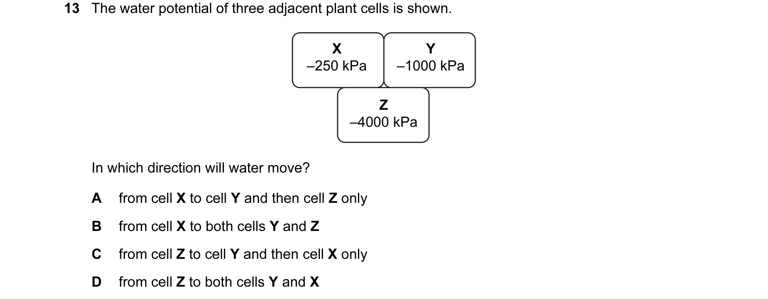 Question 15: The water potential of three adjacent plant cells is shown. X Y –250 kPa –1000 kPa Z –4000 kPa In which direction will water move? A from c…