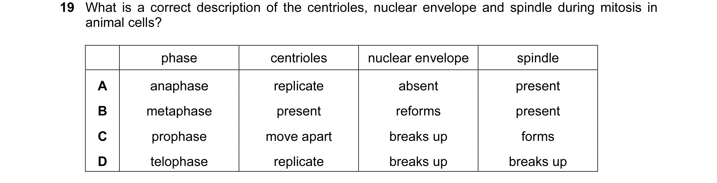 Question 8: What is a correct description of the centrioles, nuclear envelope and spindle during mitosis in animal cells? phase centrioles nuclear enve…