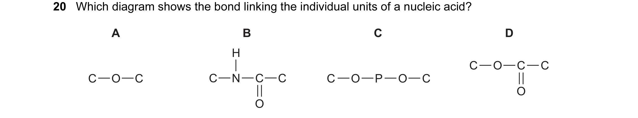 Question 18: Which diagram shows the bond linking the individual units of a nucleic acid? A B C D H C O C C C O C C N C C C O P O C O O
