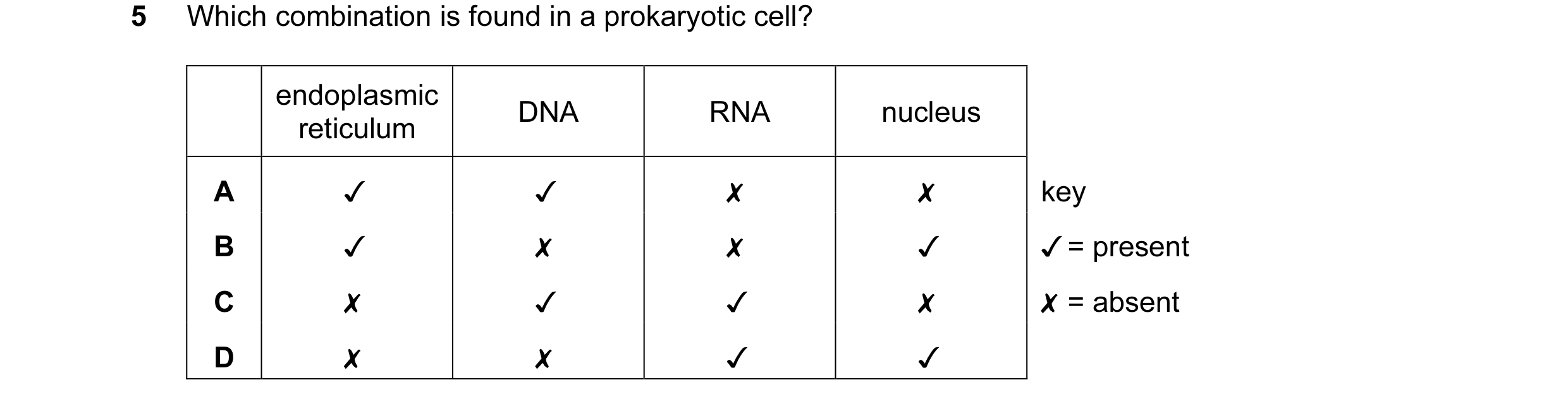 Question 19: = Which combination is found in a prokaryotic cell?

endoplasmic

reticulum DNA RNA nucleus
A JV JV x x
B J x x y
Cc x V4 J x
D x x J V

ke…