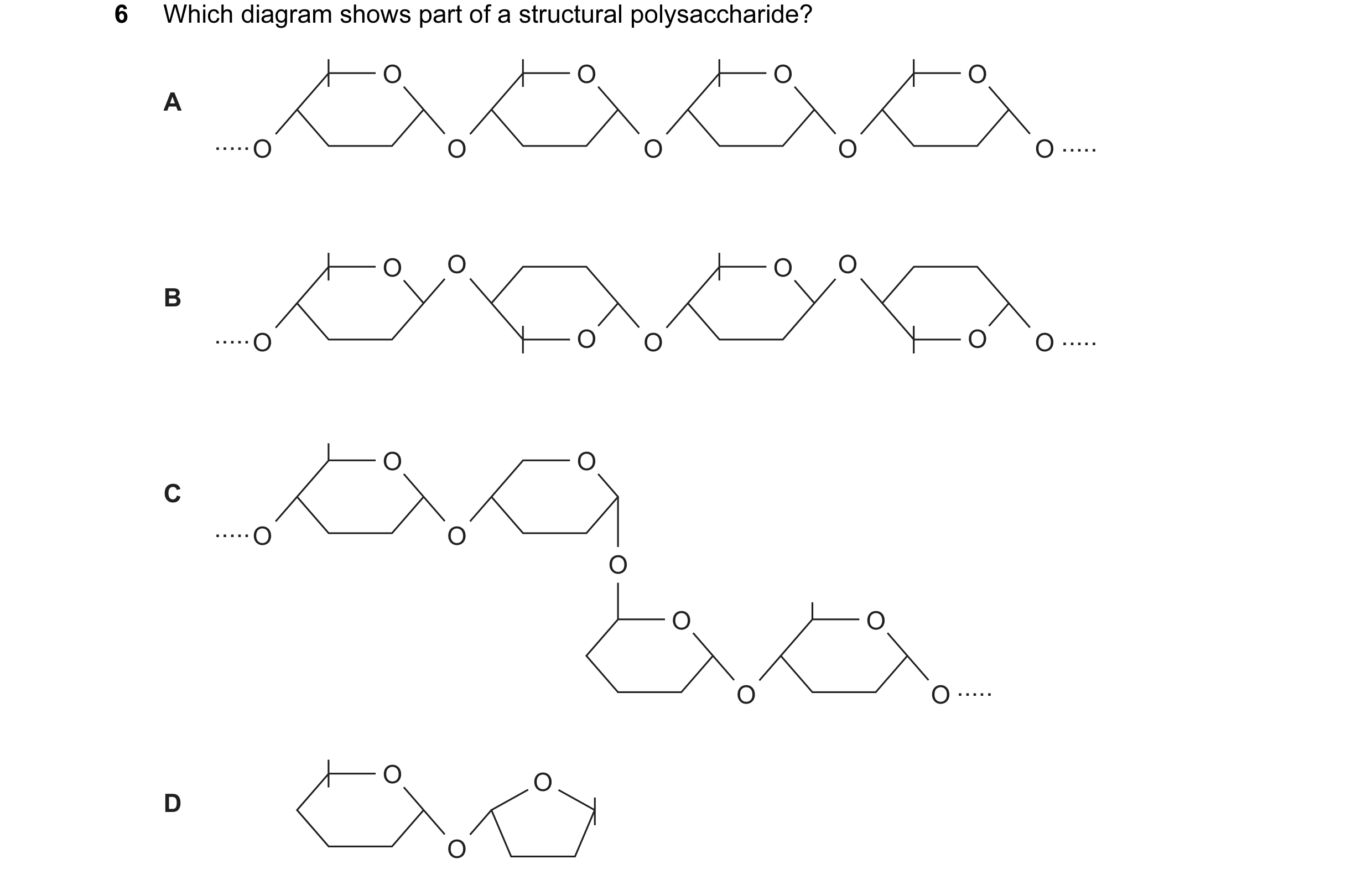 Question 16: Which diagram shows part of a structural polysaccharide? O O O O A ..... O O O O O ..... O O O O B ..... O O O O O ..... O O C ..... O O O …