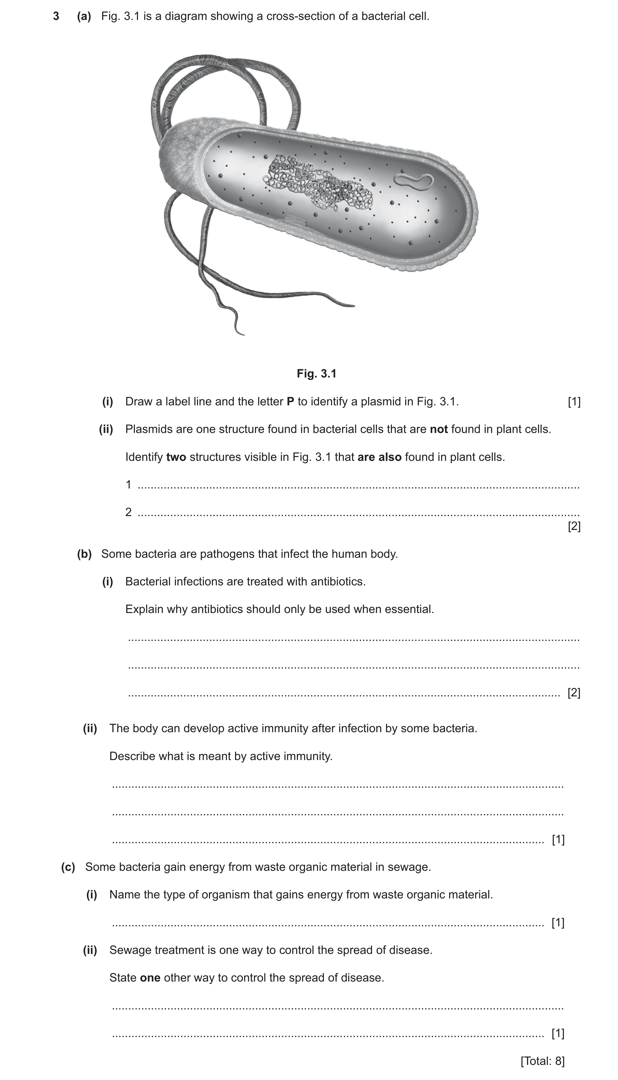 Question 11: (a) Fig. 3.1 is a diagram showing a cross‑section of a bacterial cell. Fig. 3.1 (i) Draw a label line and the letter P to identify a plasmi…