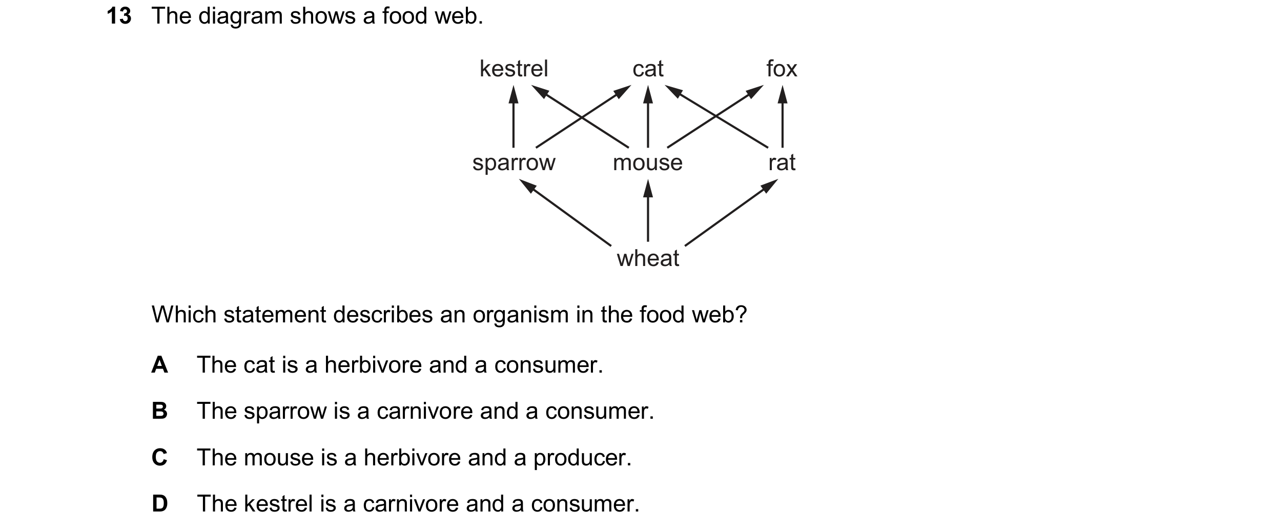 Question 63: The diagram shows a food web. kestrel cat fox sparrow mouse rat wheat Which statement describes an organism in the food web? A The cat is a…