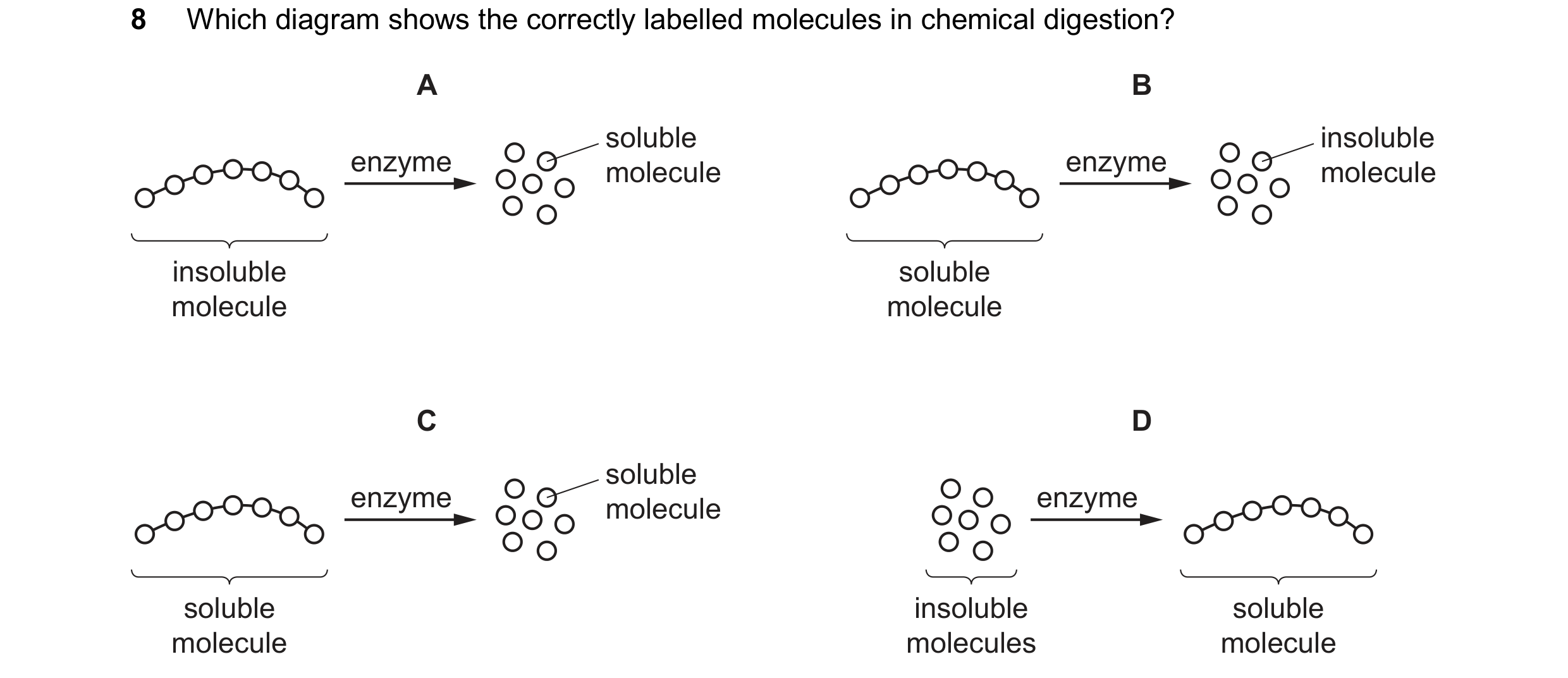 Question 87: Which diagram shows the correctly labelled molecules in chemical digestion? A B soluble insoluble enzyme molecule enzyme molecule insoluble…