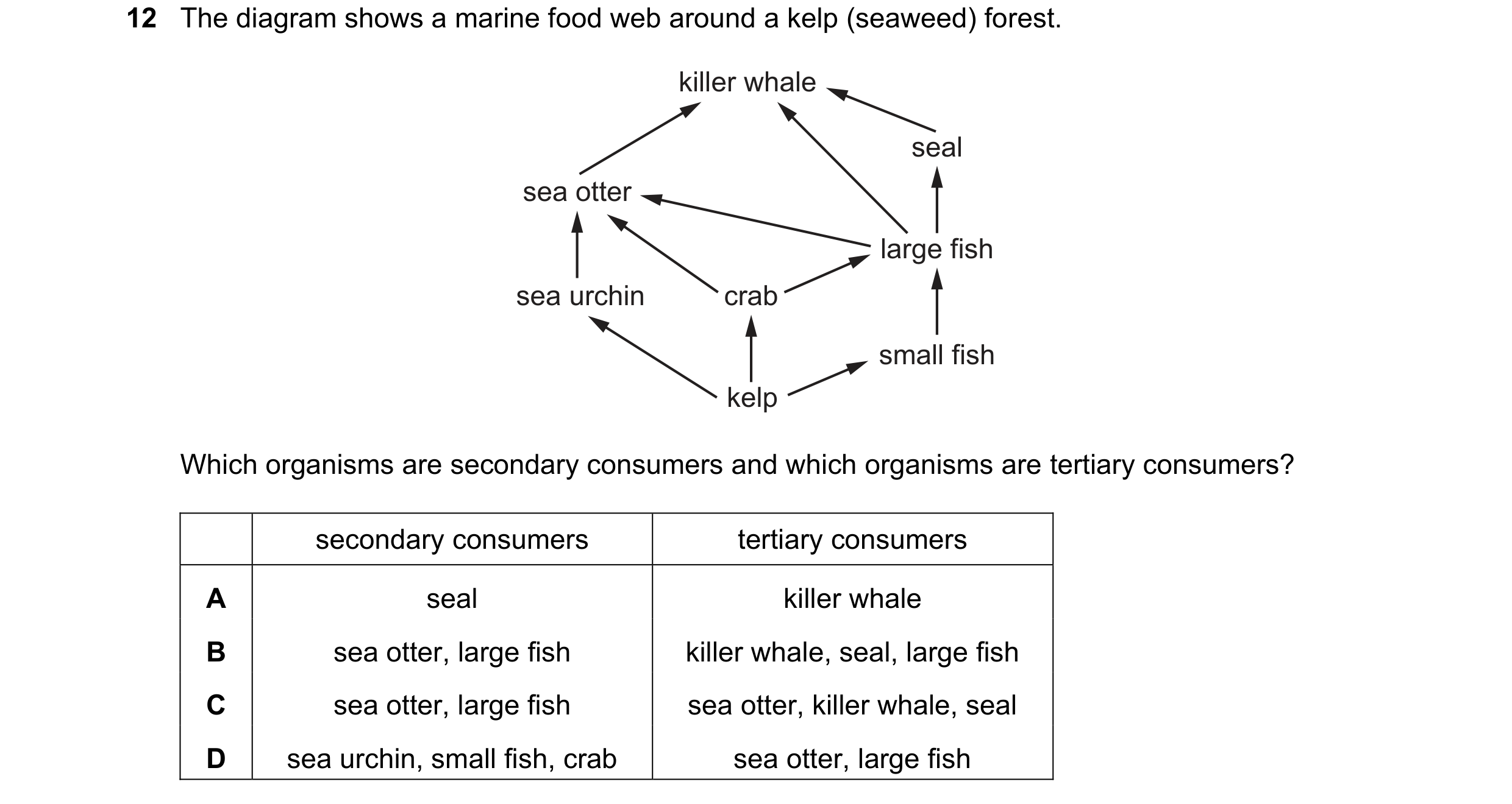 Question 22: The diagram shows a marine food web around a kelp (seaweed) forest. killer whale seal sea otter large fish sea urchin crab small fish kelp …