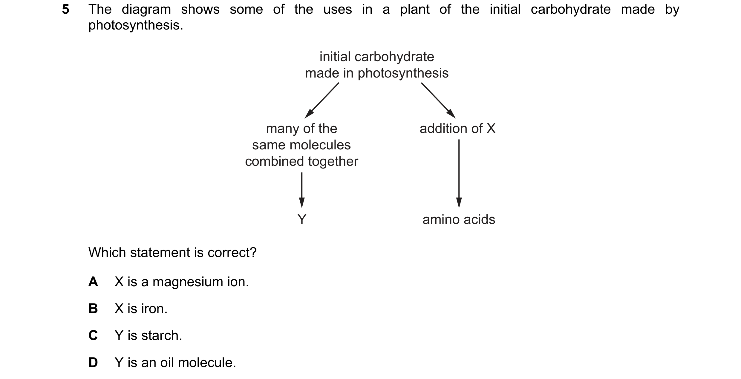 Question 37: The diagram shows some of the uses in a plant of the initial carbohydrate made by photosynthesis. initial carbohydrate made in photosynthes…