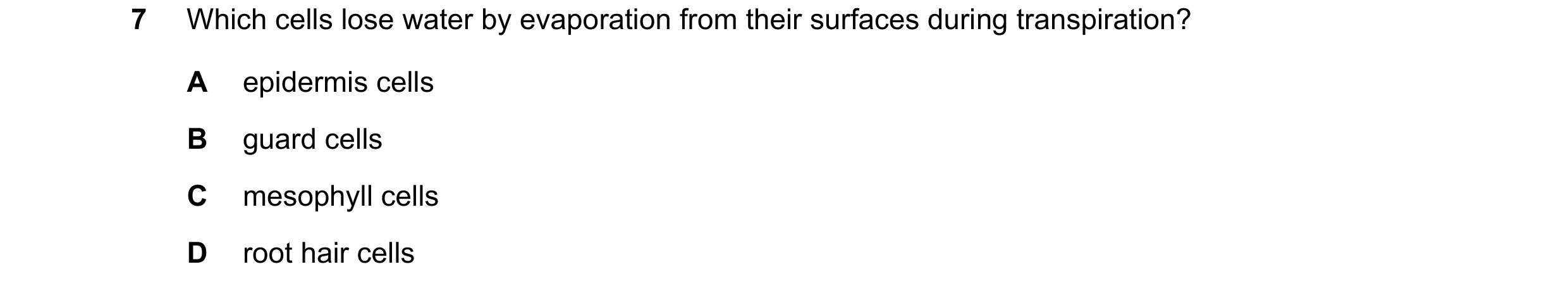 Question 13: Which cells lose water by evaporation from their surfaces during transpiration? A epidermis cells B guard cells C mesophyll cells D root ha…