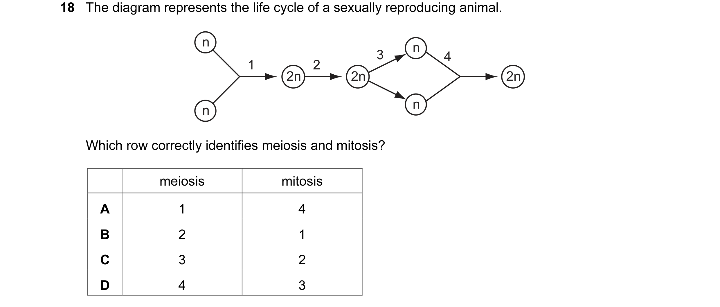 Question 55: The diagram represents the life cycle of a sexually reproducing animal. n n 3 4 1 2 2n 2n 2n n n Which row correctly identifies meiosis and…