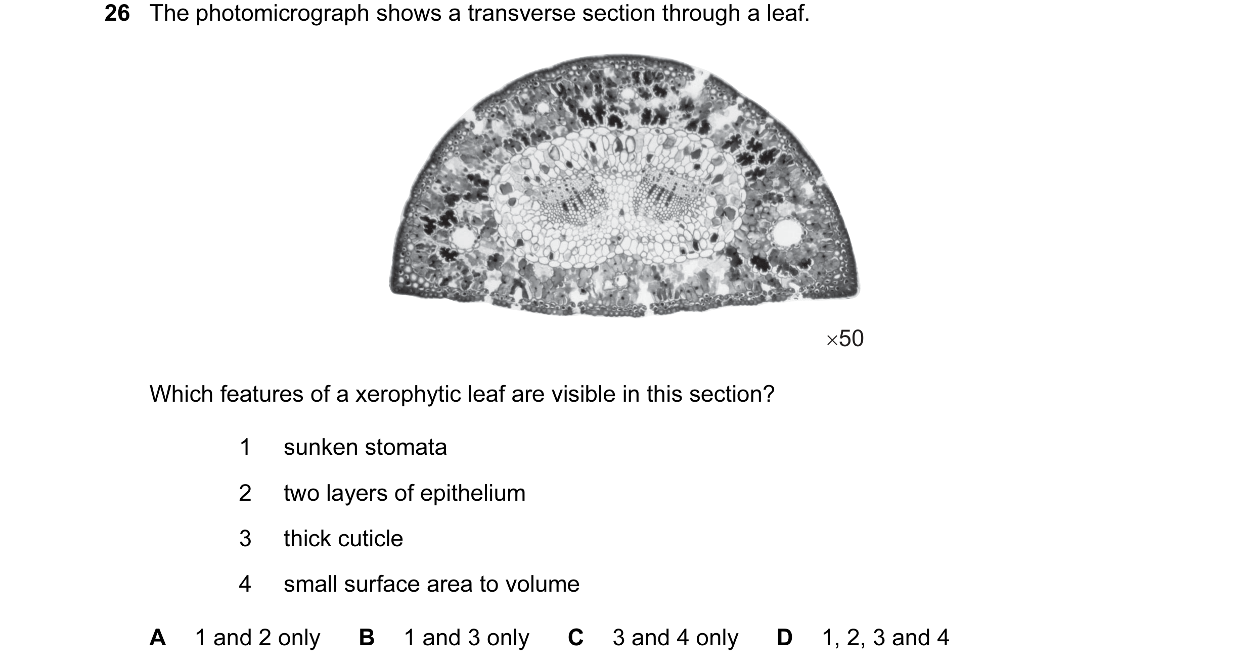 Question 83: The photomicrograph shows a transverse section through a leaf. ×50 Which features of a xerophytic leaf are visible in this section? 1 sunke…
