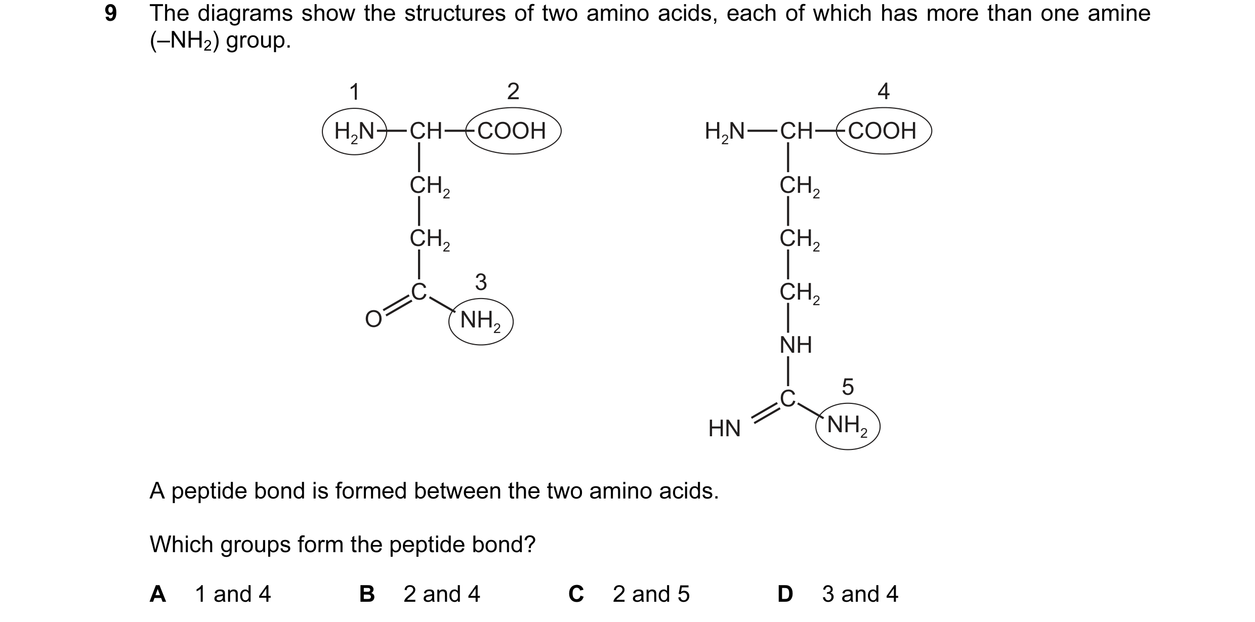Question 67: The diagrams show the structures of two amino acids, each of which has more than one amine (–NH2) group. 1 2 4 H2N CH COOH H2N CH COOH CH2 …