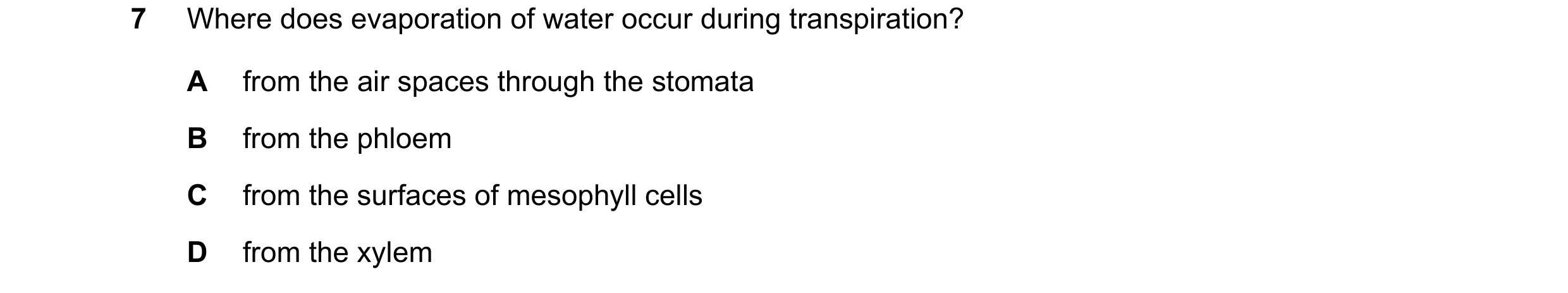 Question 11: Where does evaporation of water occur during transpiration? A from the air spaces through the stomata B from the phloem C from the surfaces…