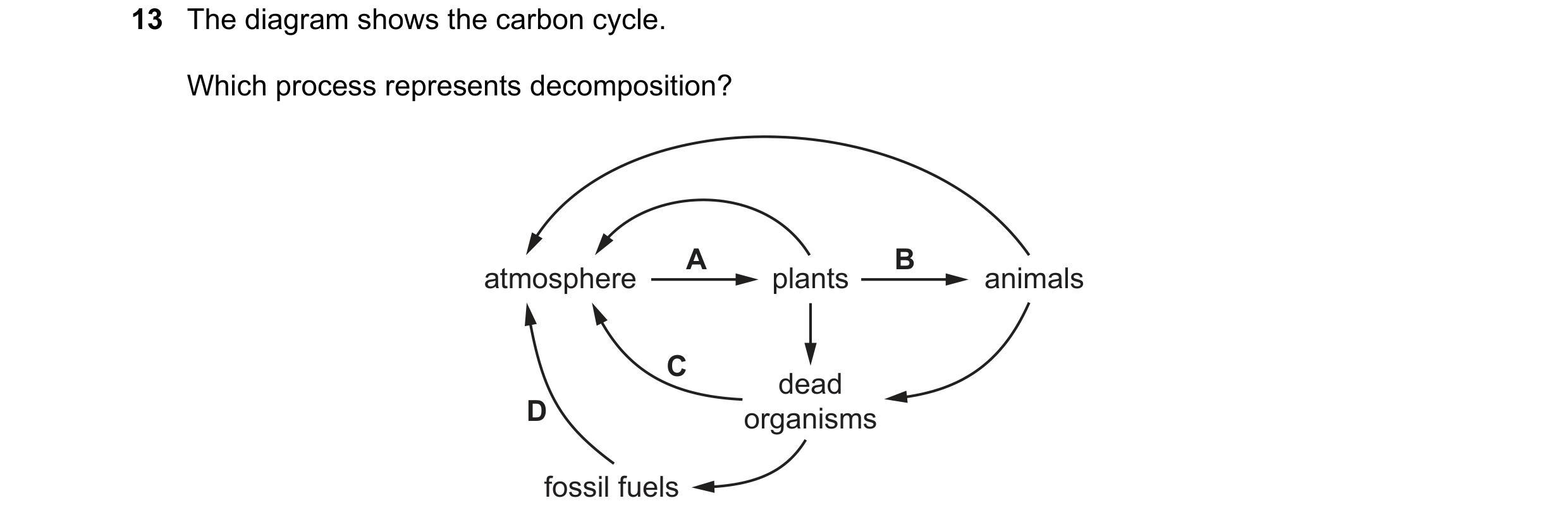 Question 5: The diagram shows the carbon cycle. Which process represents decomposition? A B atmosphere plants animals C dead D organisms fossil fuels