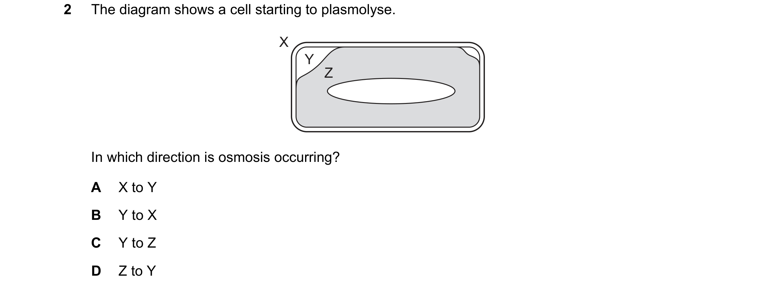 Question 7: The diagram shows a cell starting to plasmolyse. X Y Z In which direction is osmosis occurring? A X to Y B Y to X C Y to Z D Z to Y