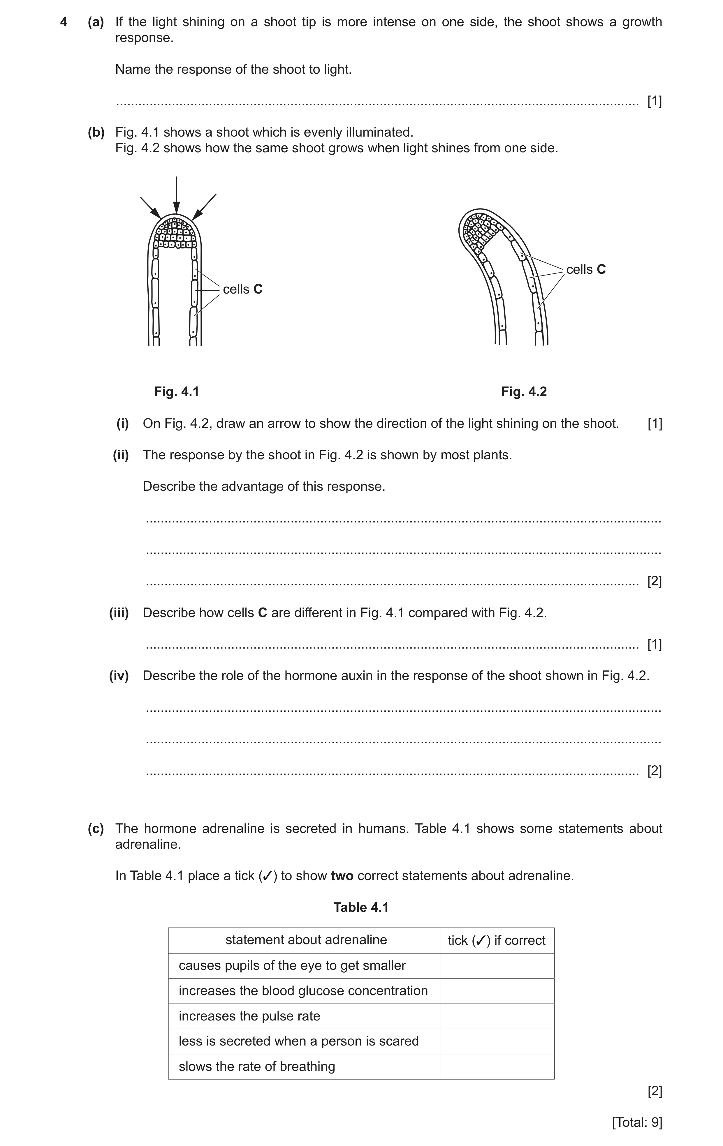 Question 7: (a) If the light shining on a shoot tip is more intense on one side, the shoot shows a growth response. Name the response of the shoot to l…