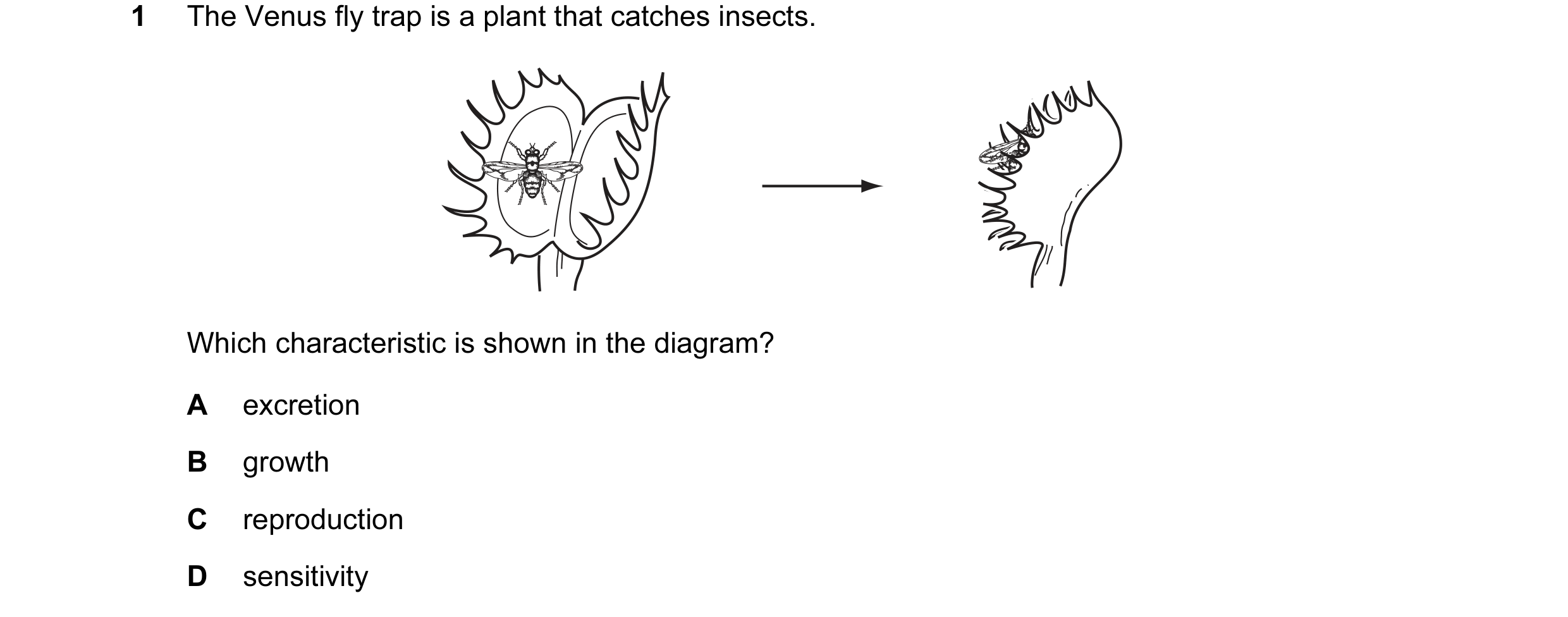 Question 22: The Venus fly trap is a plant that catches insects. Which characteristic is shown in the diagram? A excretion B growth C reproduction D sen…