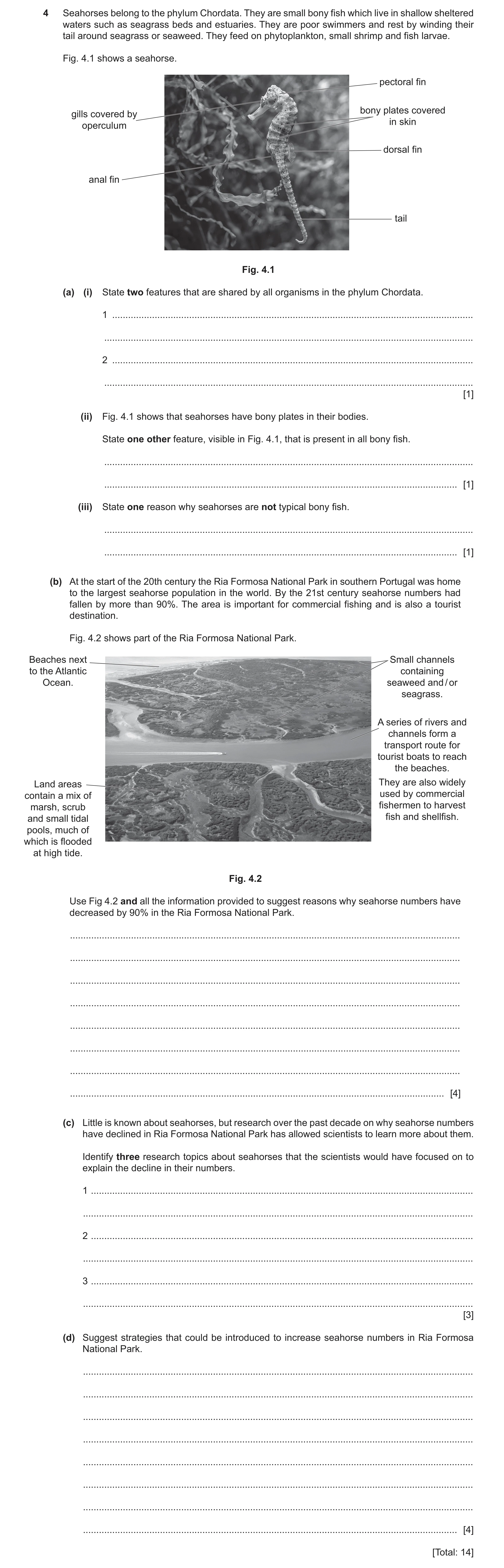 Question 53: Seahorses belong to the phylum Chordata. They are small bony fish which live in shallow sheltered waters such as seagrass beds and estuarie…