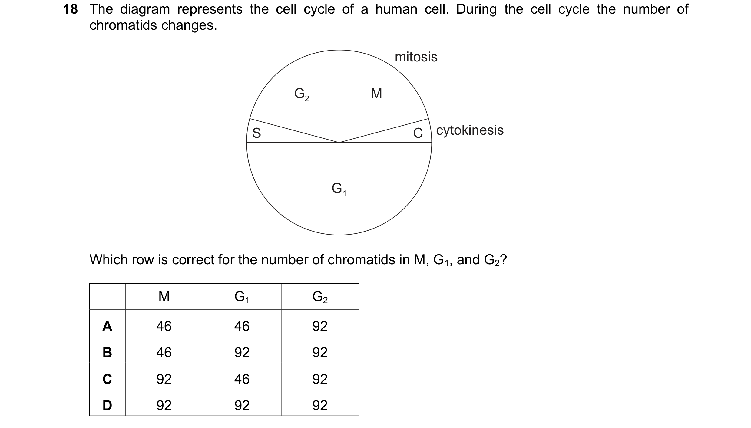 Question 131: The diagram represents the cell cycle of a human cell. During the cell cycle the number of chromatids changes. mitosis G2 M S C cytokinesis…