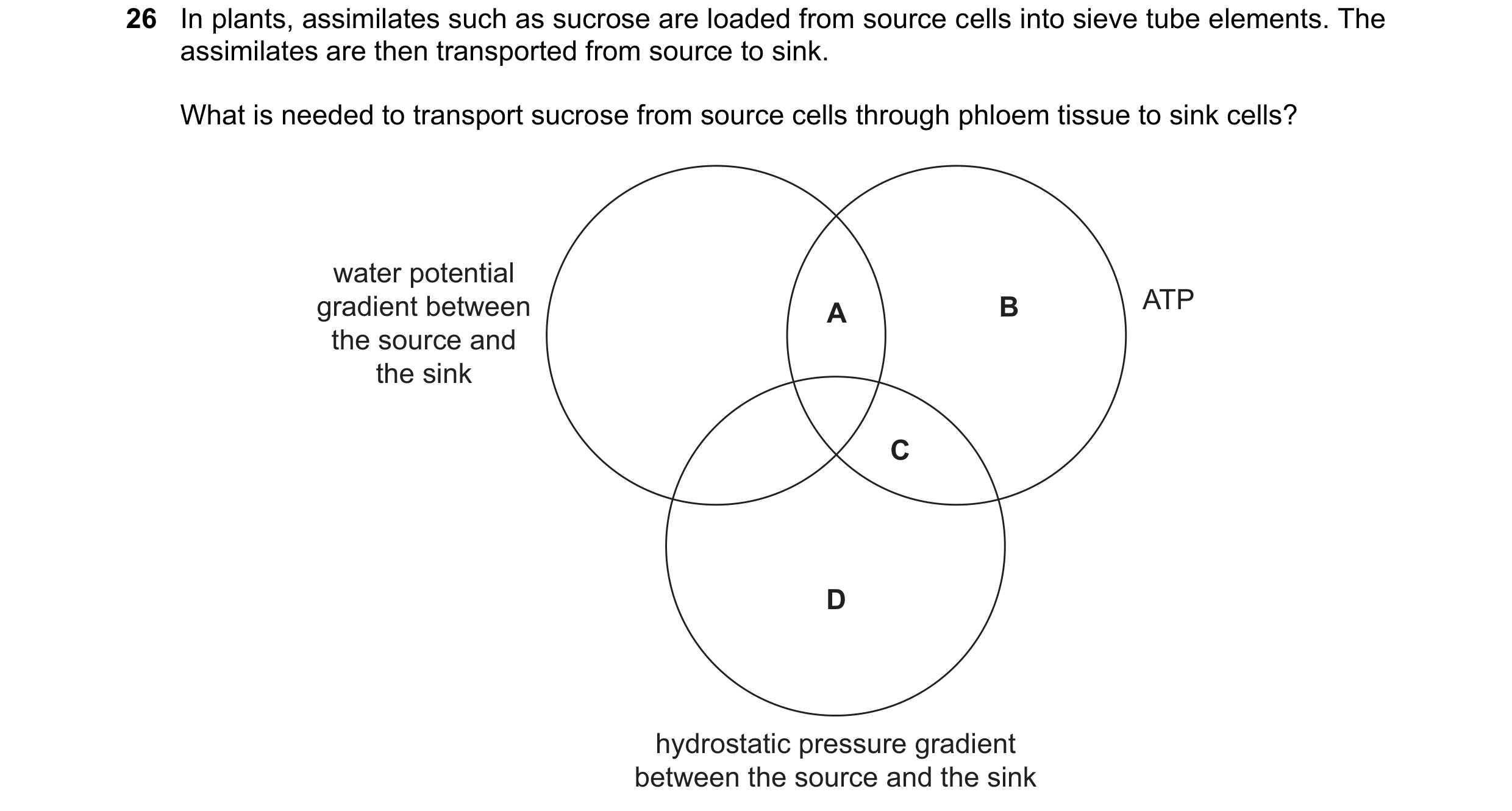 Question 243: In plants, assimilates such as sucrose are loaded from source cells into sieve tube elements. The assimilates are then transported from sou…