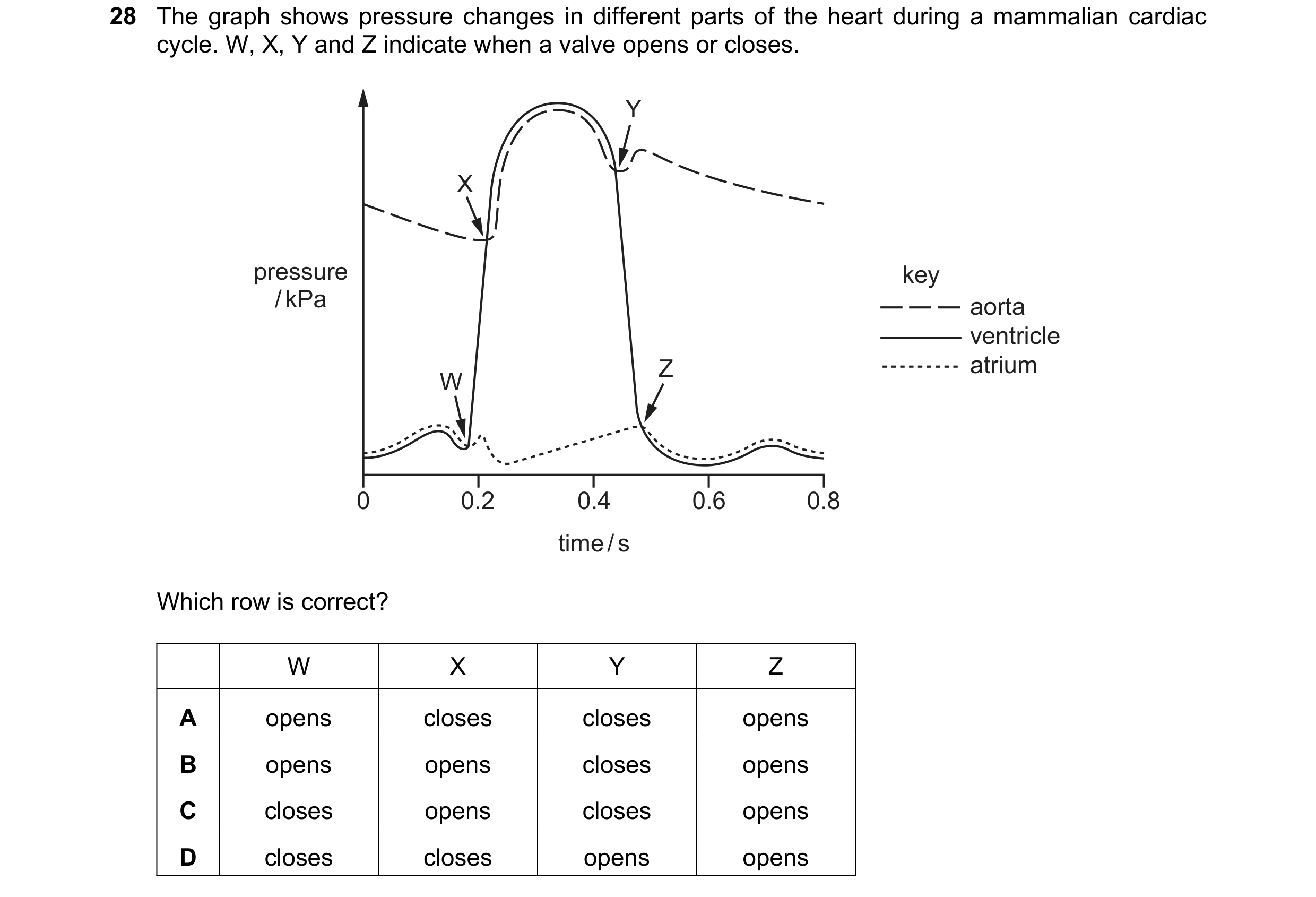 Question 100: The graph shows pressure changes in different parts of the heart during a mammalian cardiac cycle. W, X, Y and Z indicate when a valve open…