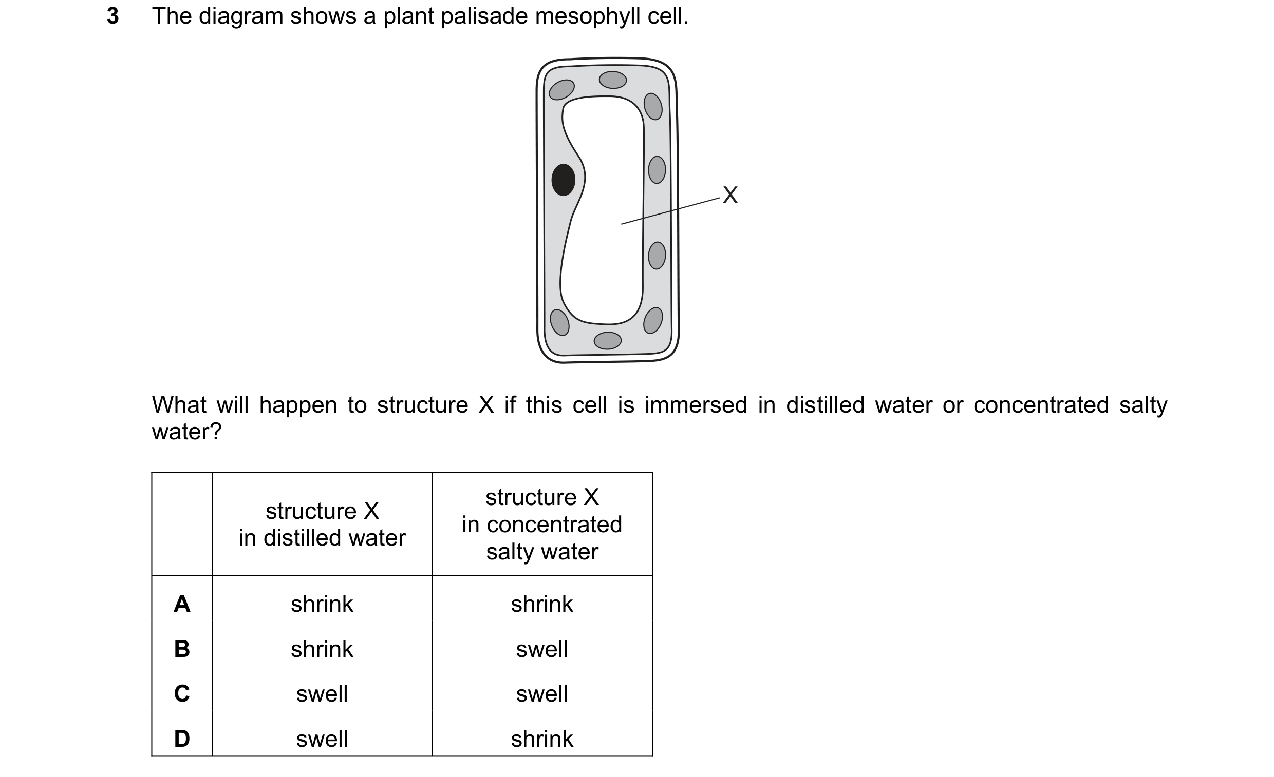 Question 10: The diagram shows a plant palisade mesophyll cell. X What will happen to structure X if this cell is immersed in distilled water or concent…