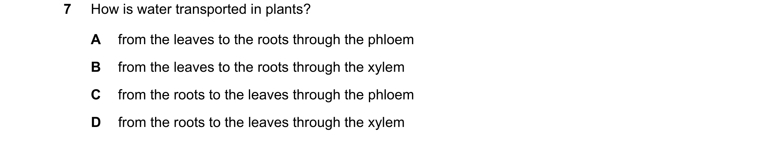 Question 19: How is water transported in plants? A from the leaves to the roots through the phloem B from the leaves to the roots through the xylem C fr…