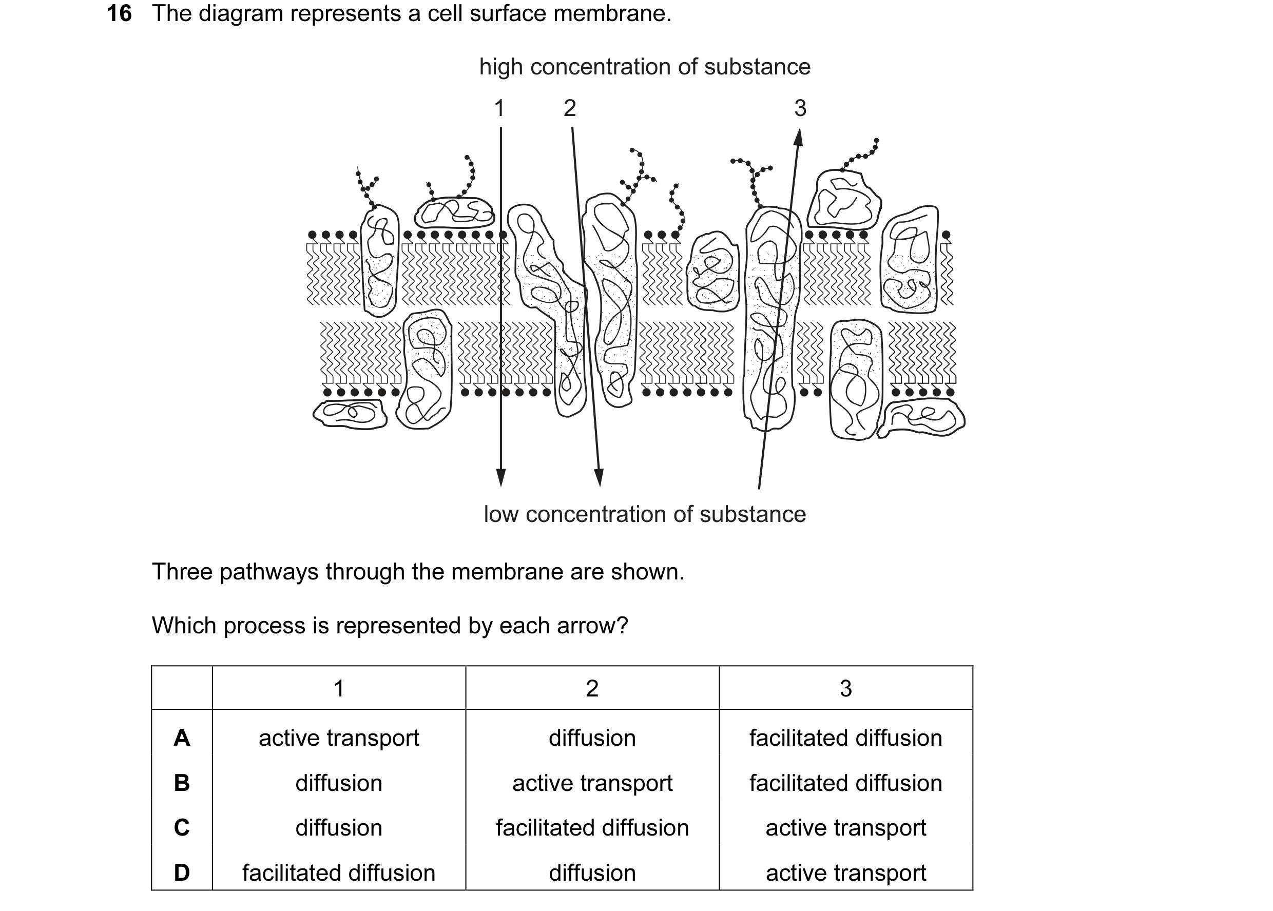Question 94: The diagram represents a cell surface membrane. high concentration of substance 1 2 3 low concentration of substance Three pathways through…