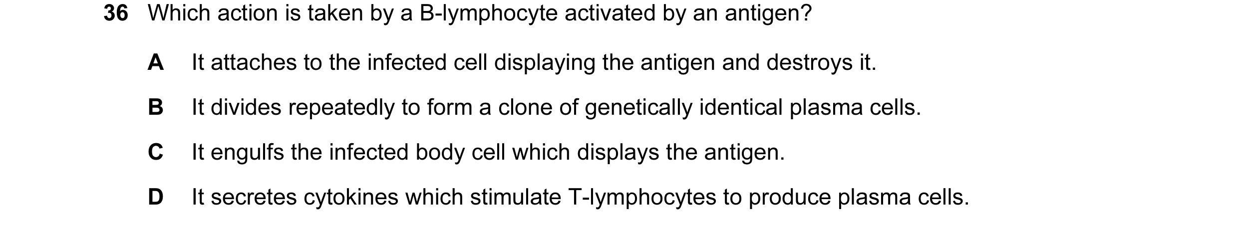 Question 52: Which action is taken by a B-lymphocyte activated by an antigen? A It attaches to the infected cell displaying the antigen and destroys it.…