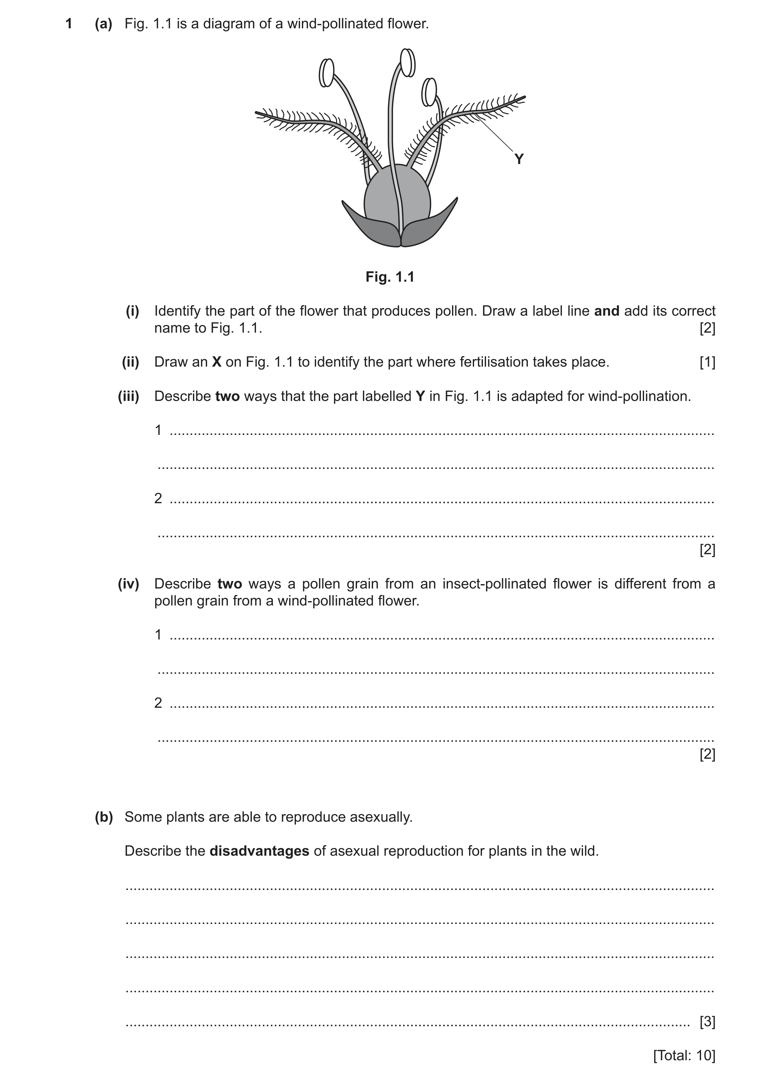 Question 11: (a) Fig. 1.1 is a diagram of a wind‑pollinated flower. Y Fig. 1.1 (i) Identify the part of the flower that produces pollen. Draw a label li…