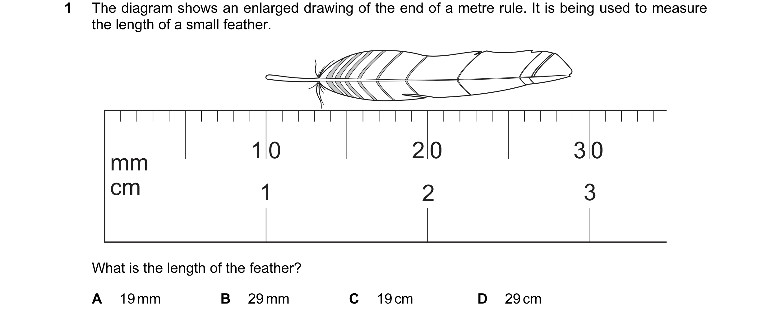 Question 5: The diagram shows an enlarged drawing of the end of a metre rule. It is being used to measure the length of a small feather. 1 0 2 0 3 0 mm…