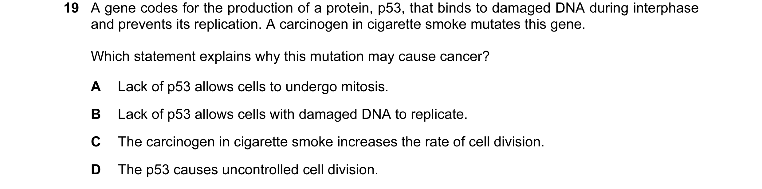 Question 32: A gene codes for the production of a protein, p53, that binds to damaged DNA during interphase and prevents its replication. A carcinogen i…