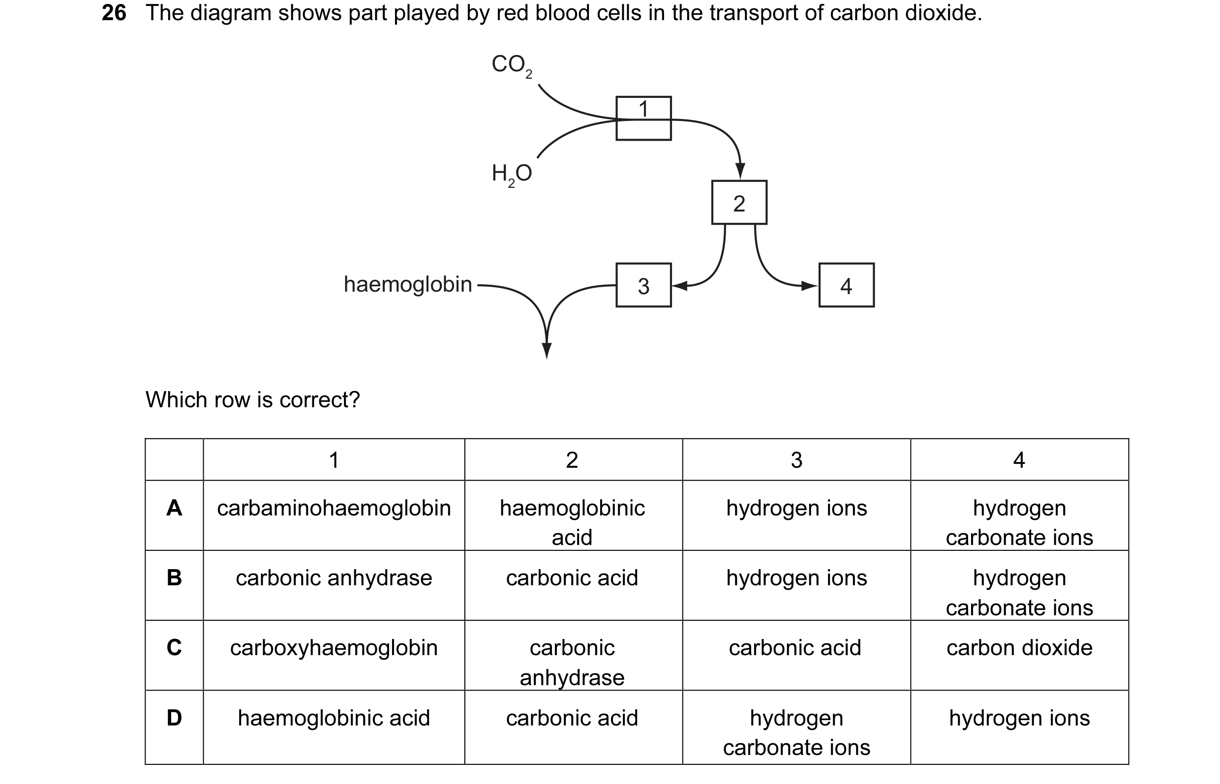 Question 16: The diagram shows part played by red blood cells in the transport of carbon dioxide. CO2 1 H2O 2 haemoglobin 3 4 Which row is correct? 1 2 …