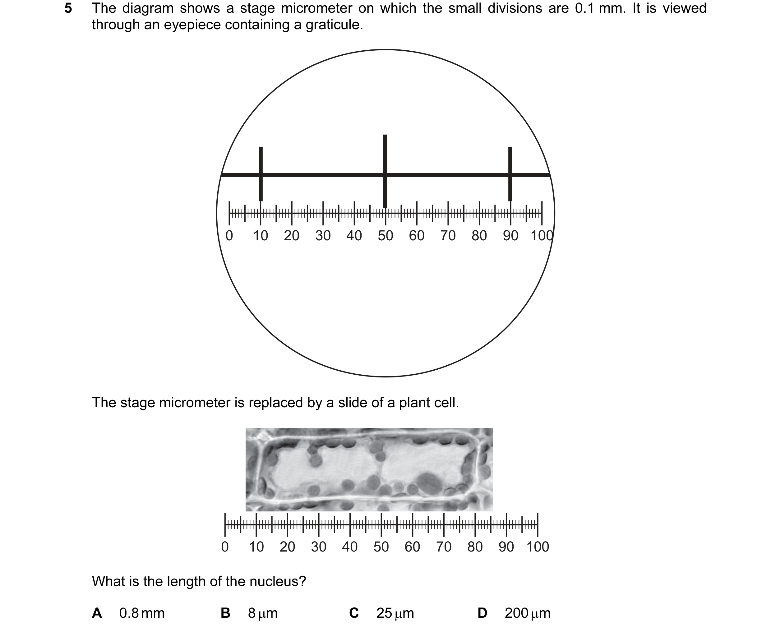 Question 42: The diagram shows a stage micrometer on which the small divisions are 0.1 mm. It is viewed through an eyepiece containing a graticule. 0 10…