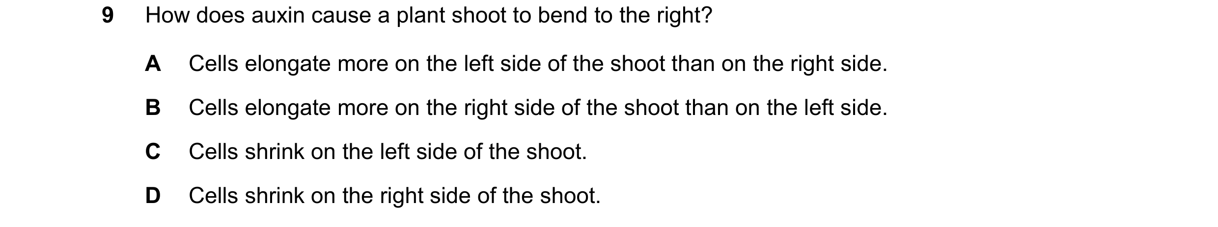 Question 5: How does auxin cause a plant shoot to bend to the right? A Cells elongate more on the left side of the shoot than on the right side. B Cell…