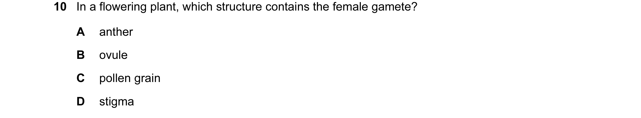 Question 19: In a flowering plant, which structure contains the female gamete? A anther B ovule C pollen grain D stigma