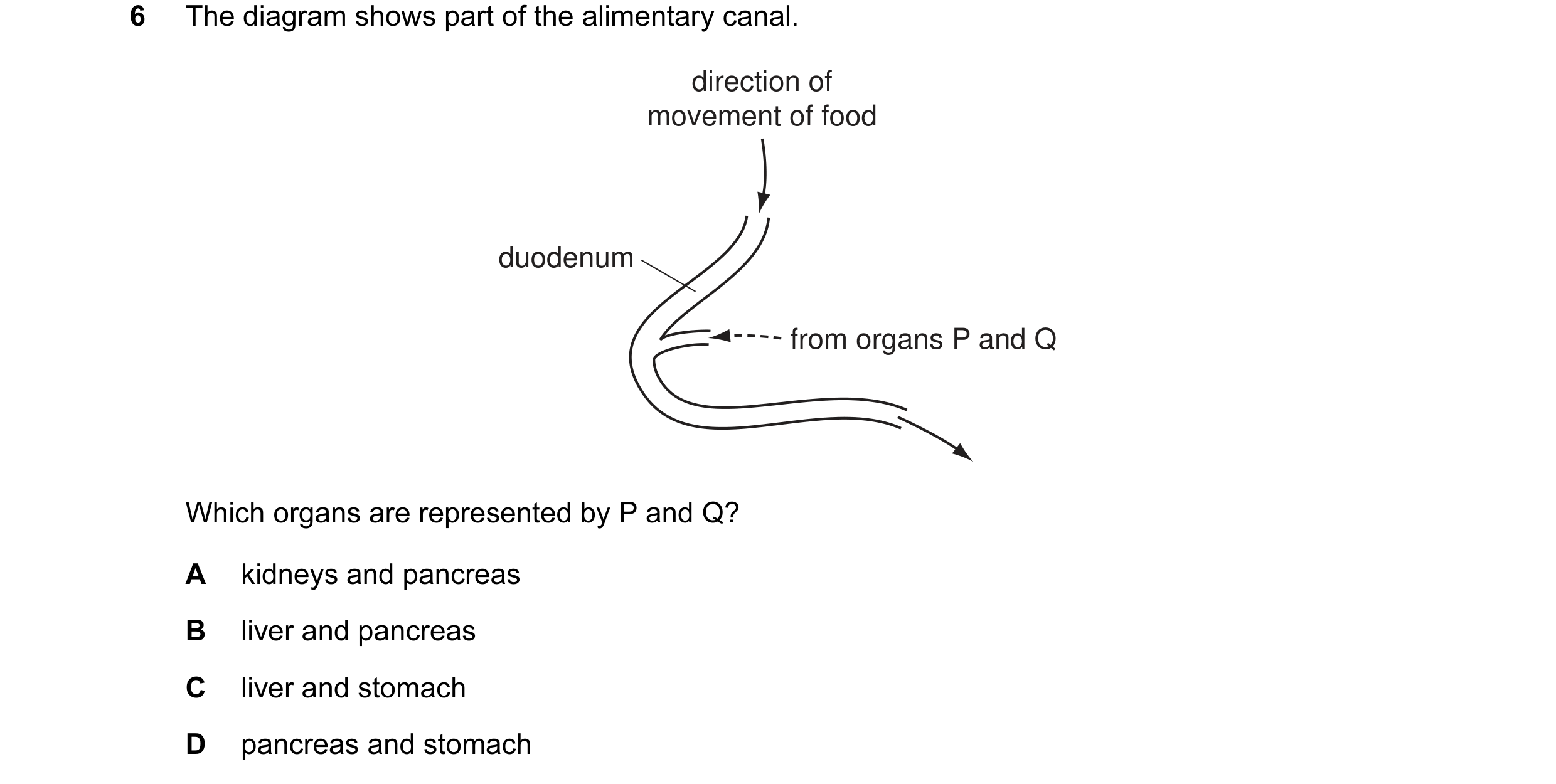 Question 12: The diagram shows part of the alimentary canal. direction of movement of food duodenum from organs P and Q Which organs are represented by …