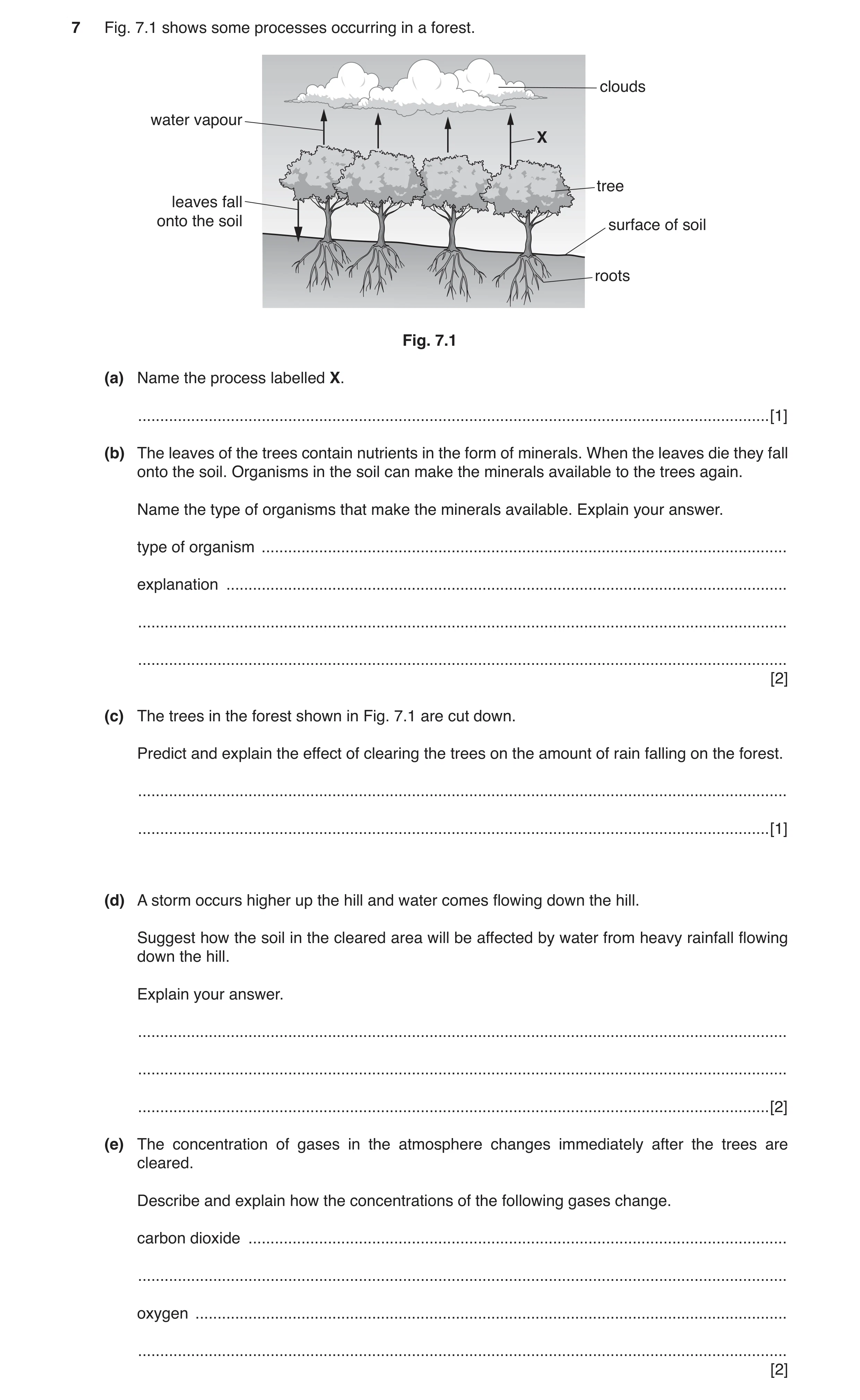Question 2: Fig. 7.1 shows some processes occurring in a forest. clouds water vapour X tree leaves fall onto the soil surface of soil roots Fig. 7.1 (a…