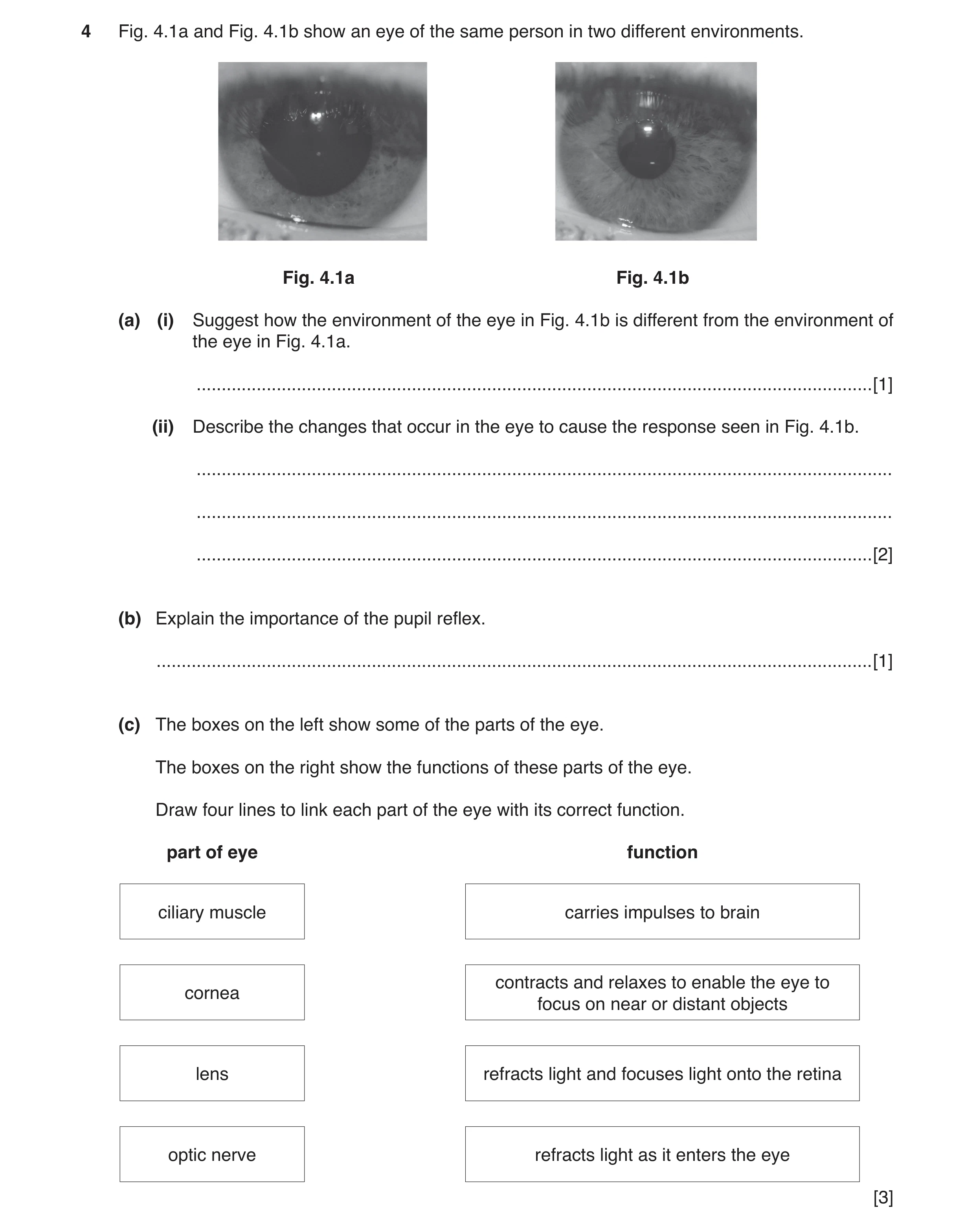 Question 4: Fig. 4.1a and Fig. 4.1b show an eye of the same person in two different environments. Fig. 4.1a Fig. 4.1b (a) (i) Suggest how the environme…