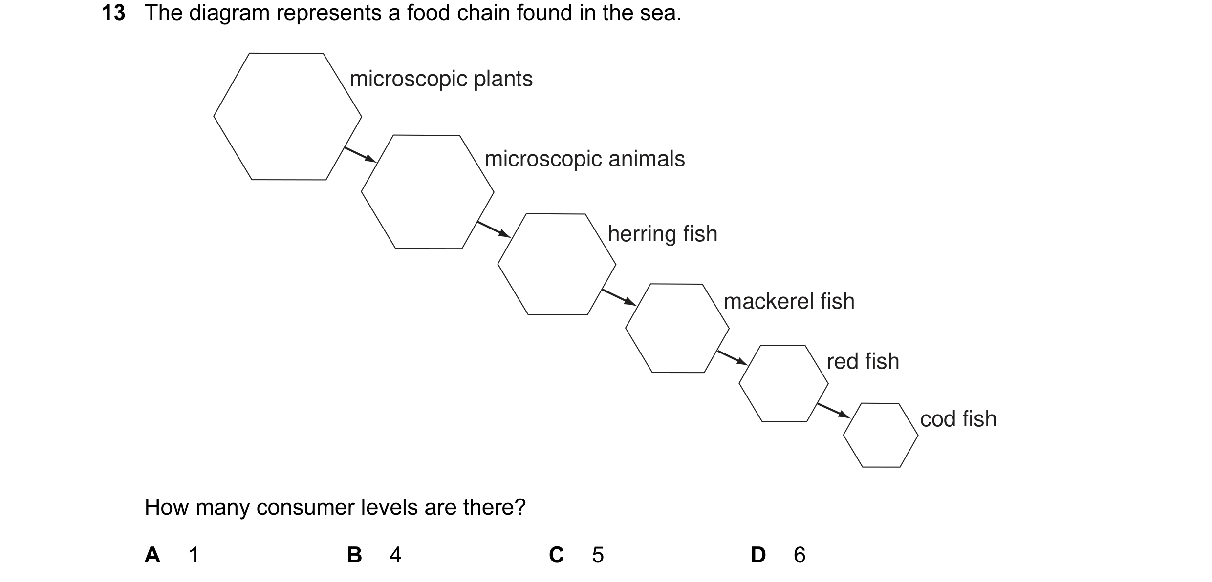 Question 1: The diagram represents a food chain found in the sea. microscopic plants microscopic animals herring fish mackerel fish red fish cod fish H…