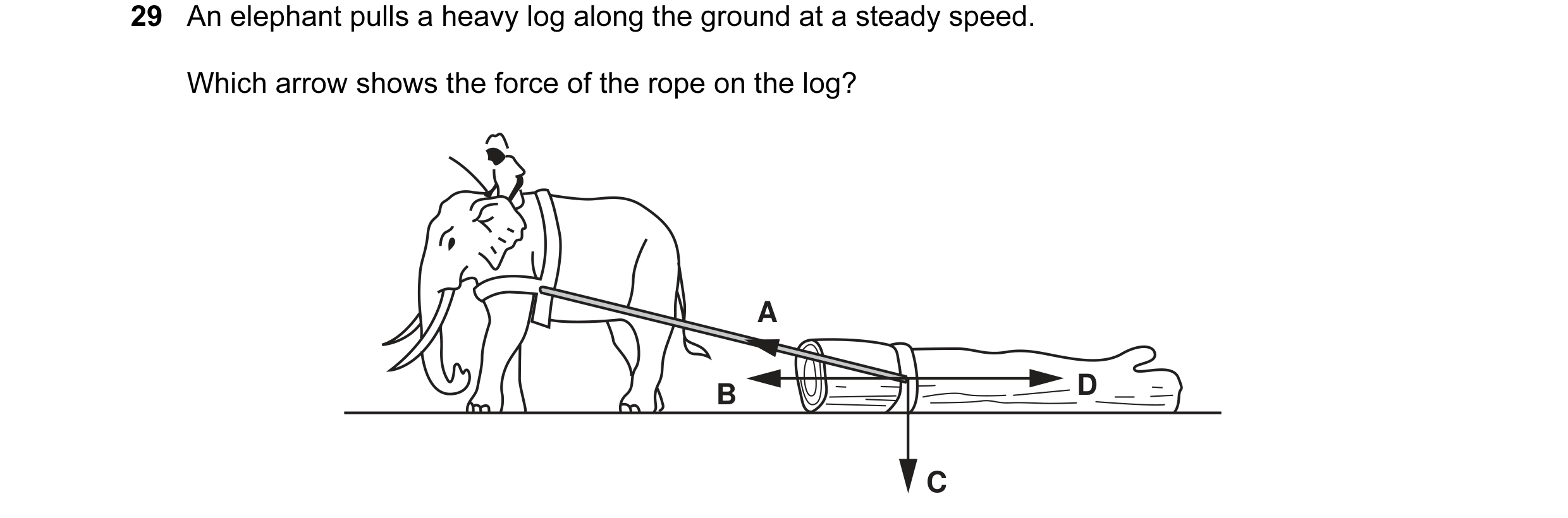 Question 1: An elephant pulls a heavy log along the ground at a steady speed. Which arrow shows the force of the rope on the log? A B D C