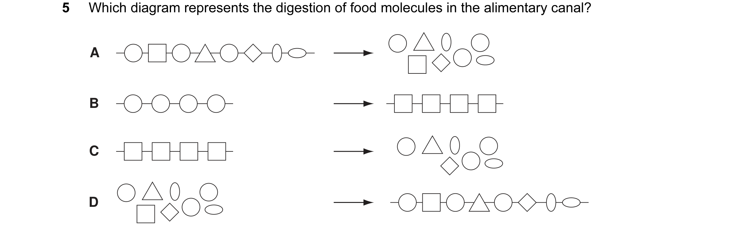 Question 1: Which diagram represents the digestion of food molecules in the alimentary canal? A B C D