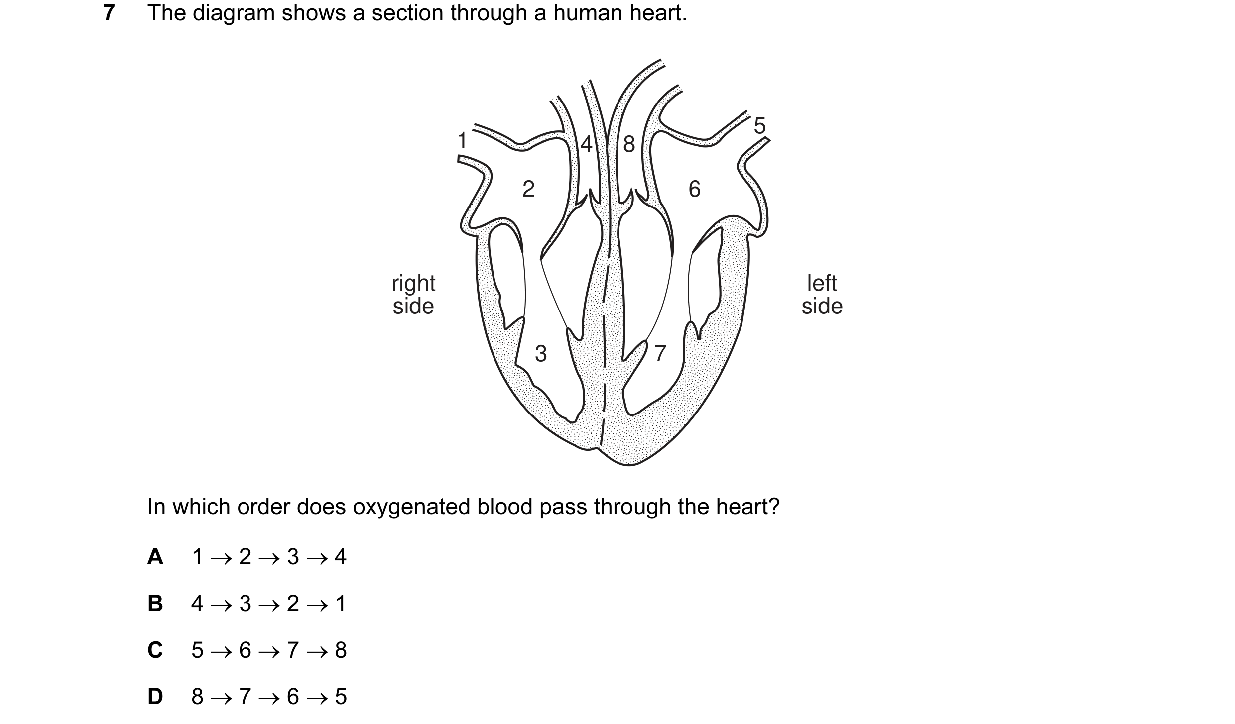 Question 1: The diagram shows a section through a human heart. 5 1 4 8 2 6 right left side side 3 7 In which order does oxygenated blood pass through t…