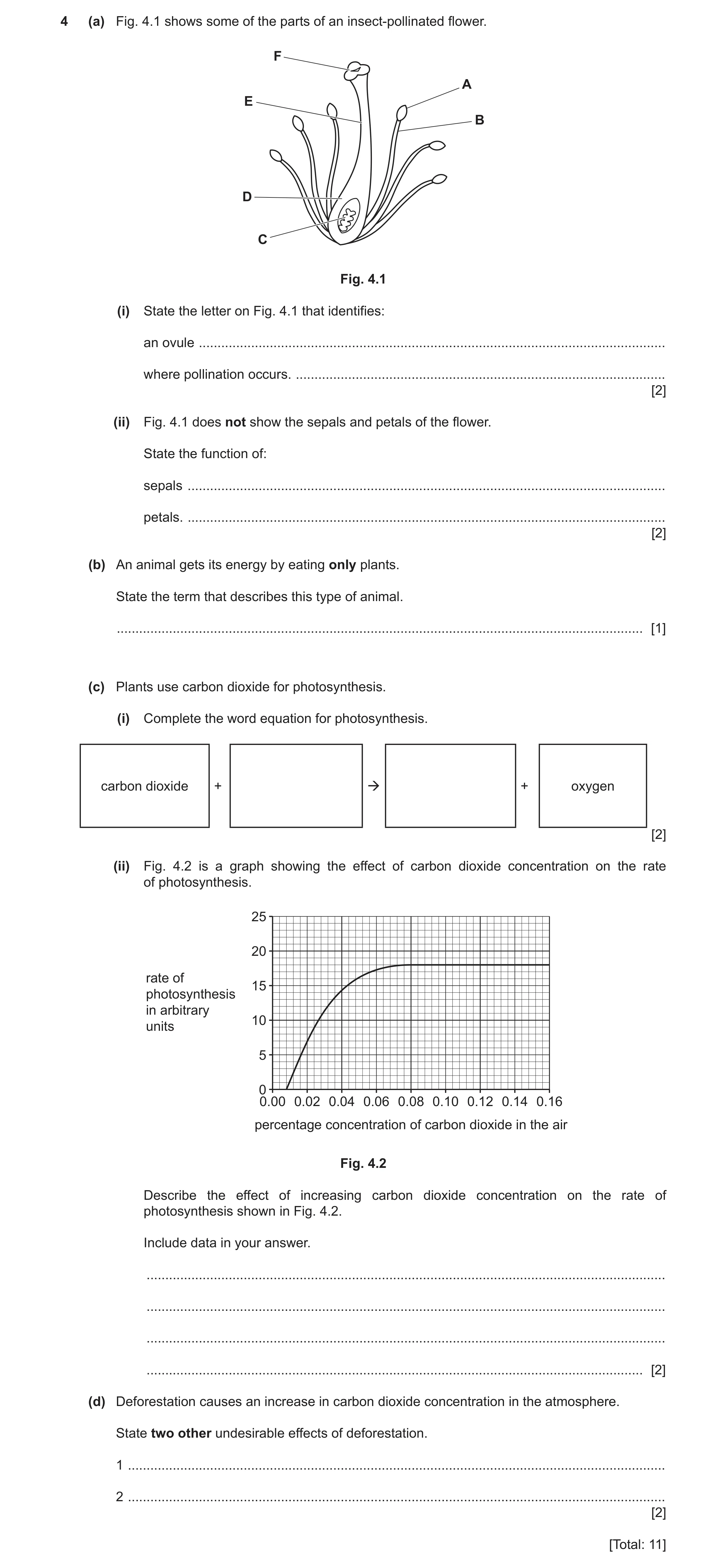 Question 11: (a) Fig. 4.1 shows some of the parts of an insect-pollinated flower. F A E B D C Fig. 4.1 (i) State the letter on Fig. 4.1 that identifies:…