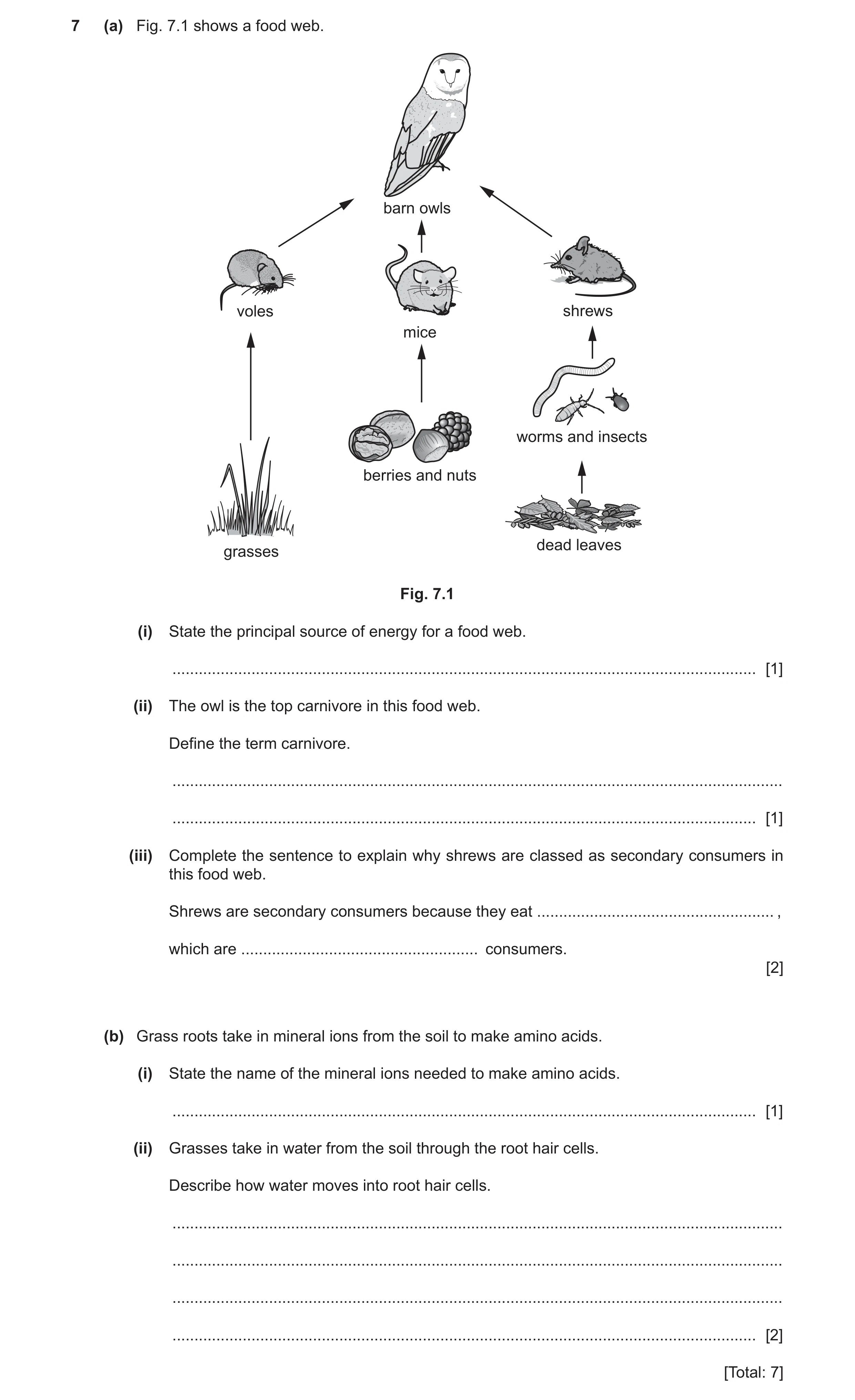 Question 5: (a) Fig. 7.1 shows a food web. barn owls voles shrews mice worms and insects berries and nuts dead leaves grasses Fig. 7.1 (i) State the pr…