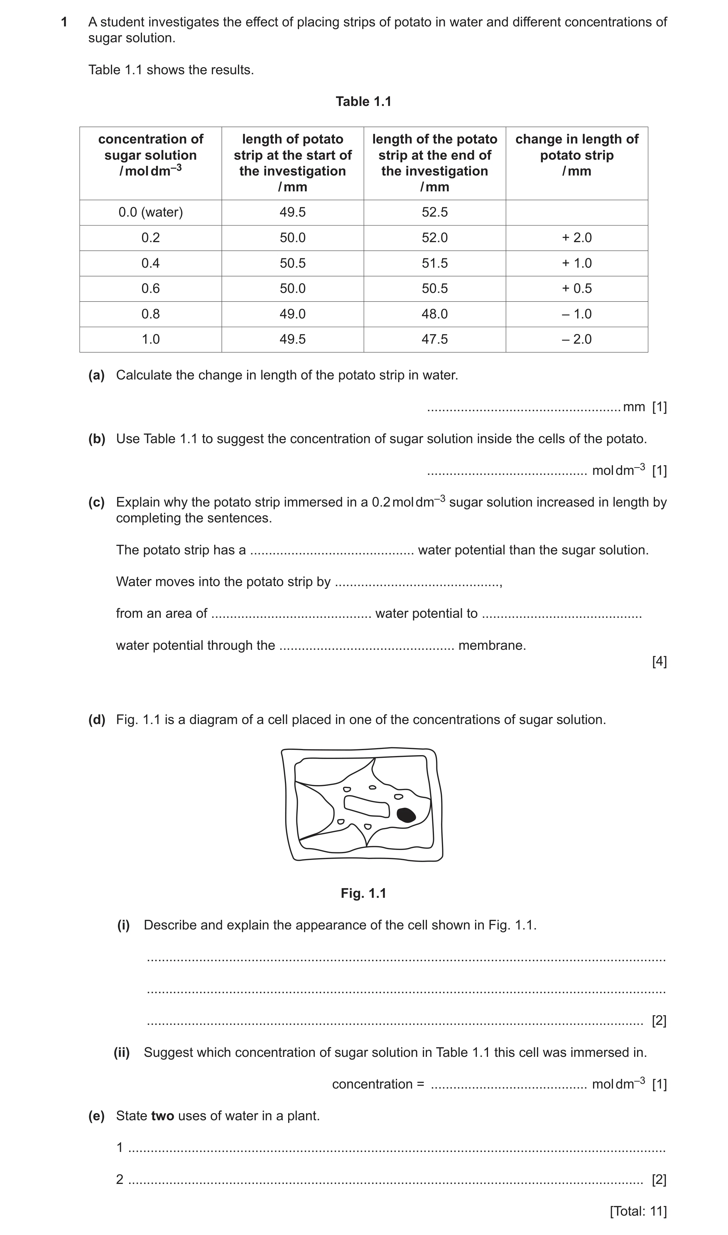 Question 7: A student investigates the effect of placing strips of potato in water and different concentrations of sugar solution. Table 1.1 shows the …