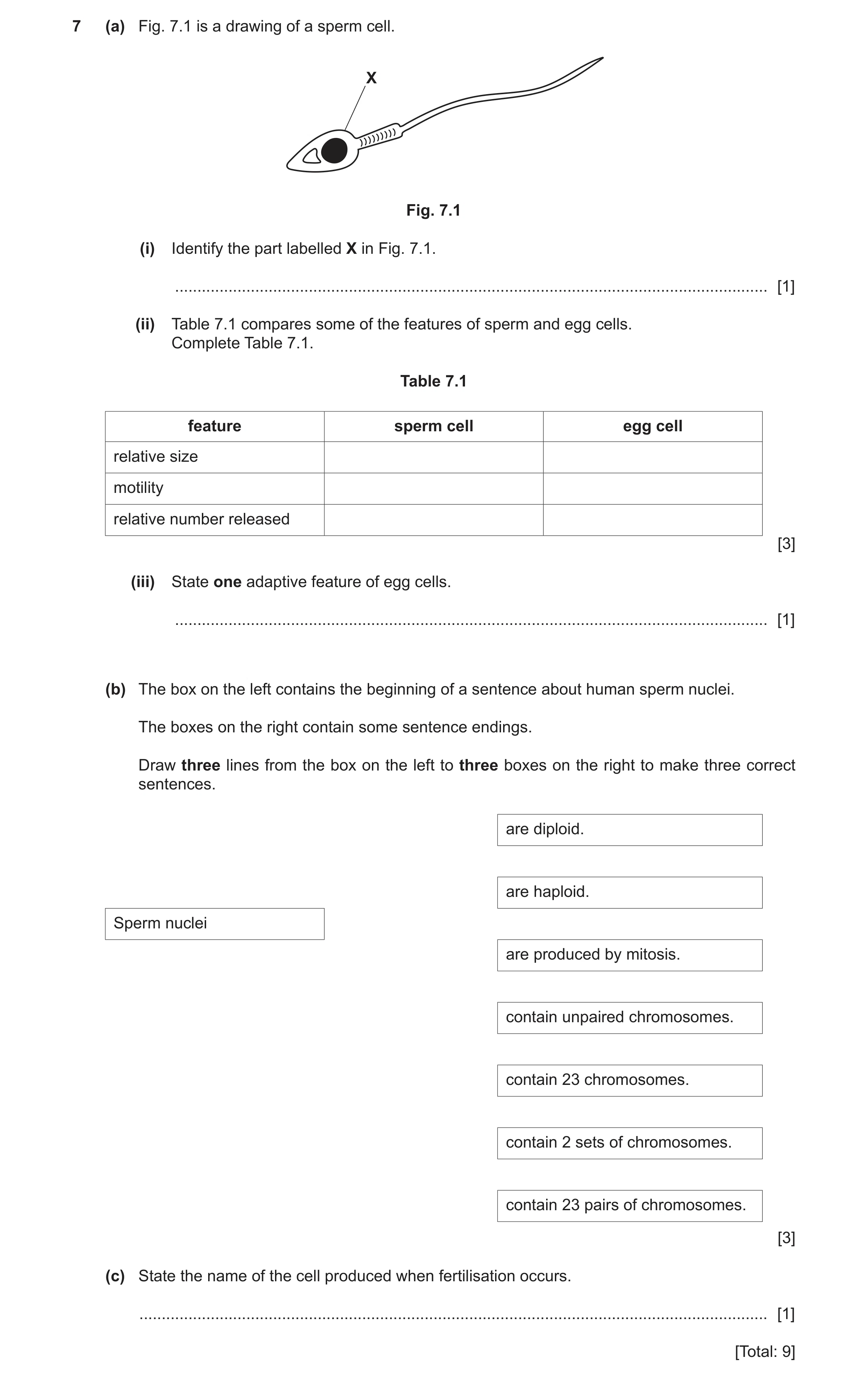 Question 8: (a) Fig. 7.1 is a drawing of a sperm cell. X Fig. 7.1 (i) Identify the part labelled X in Fig. 7.1. .......................................…