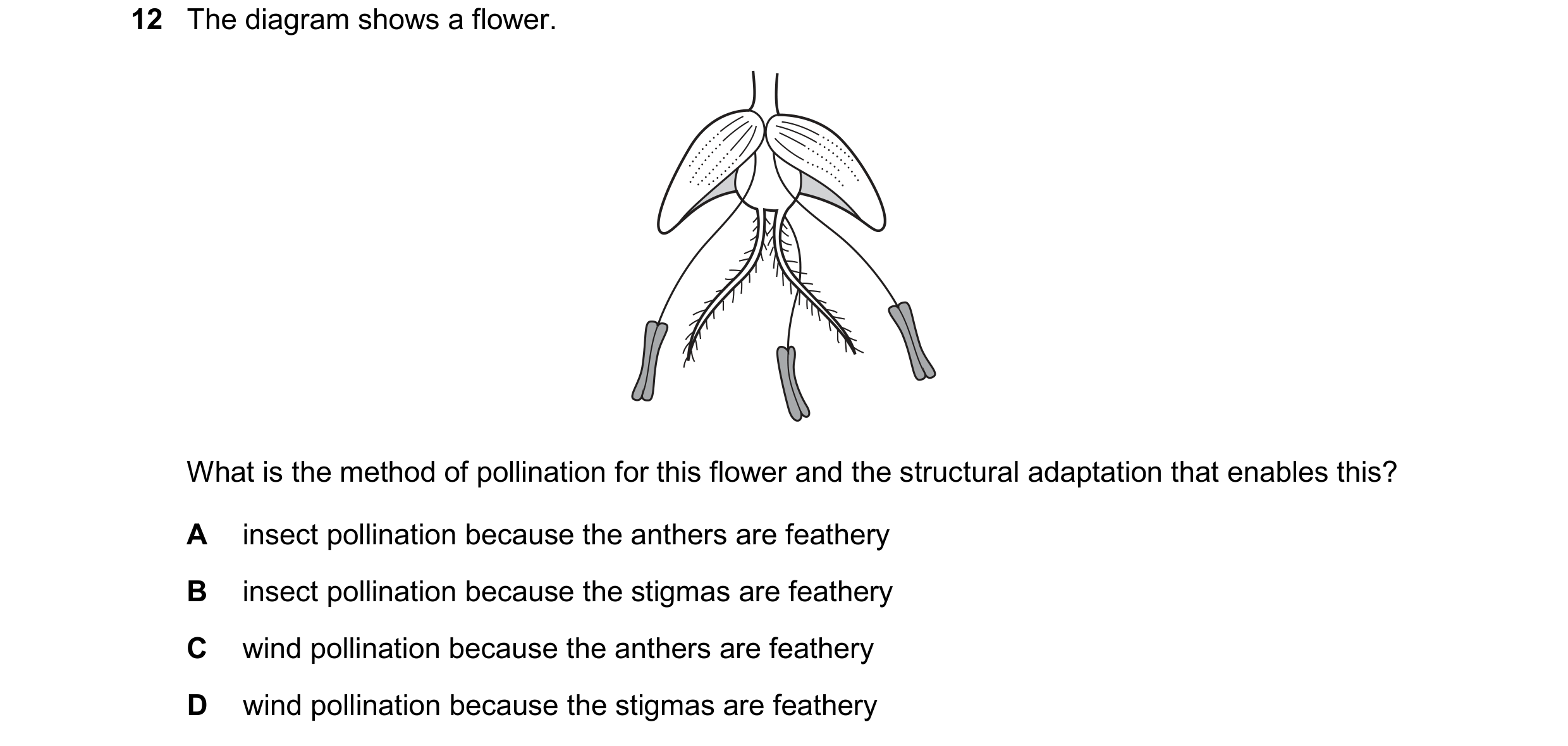 Question 20: The diagram shows a flower. What is the method of pollination for this flower and the structural adaptation that enables this? A insect pol…