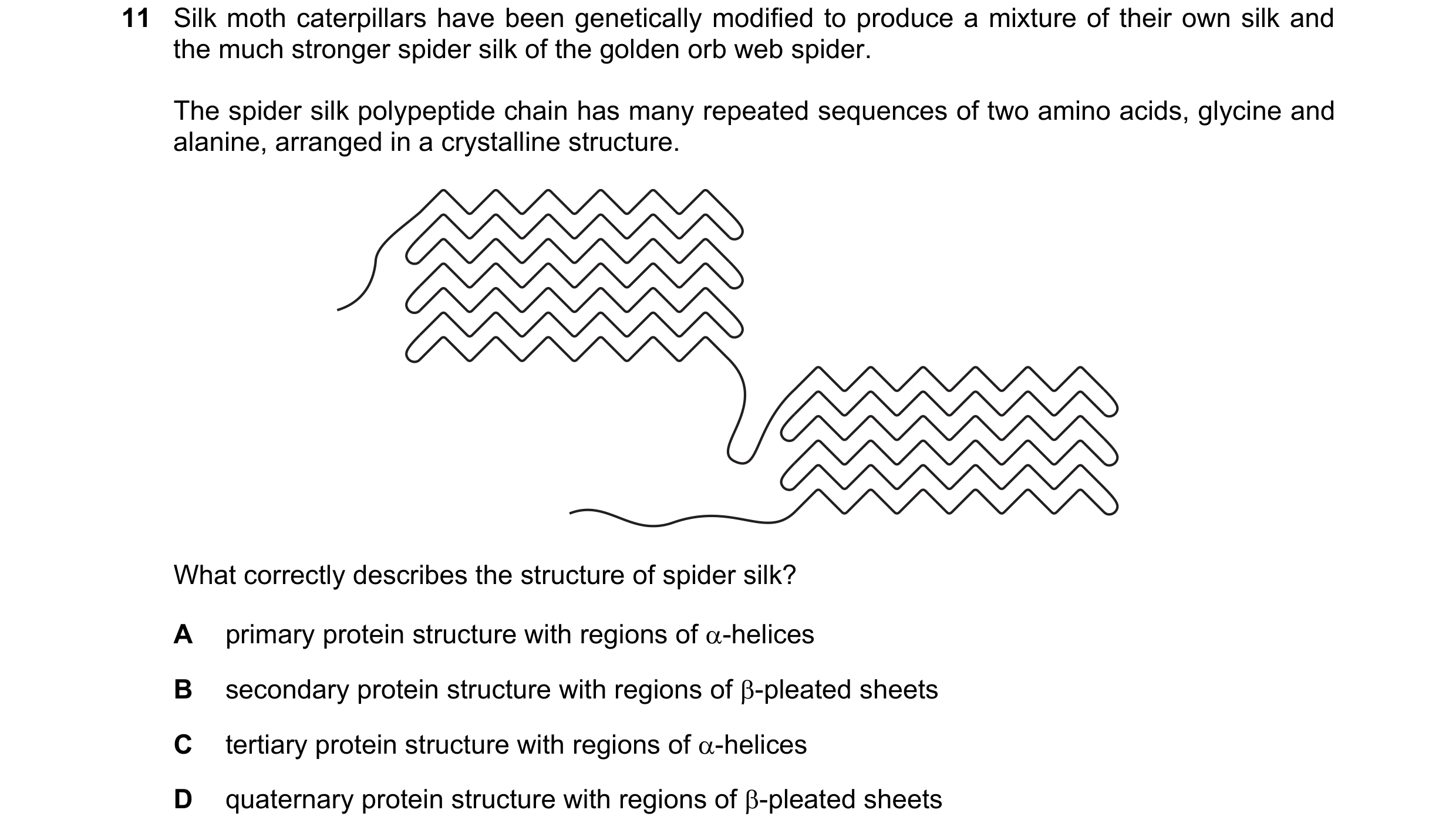 Question 211: Silk moth caterpillars have been genetically modified to produce a mixture of their own silk and the much stronger spider silk of the golde…