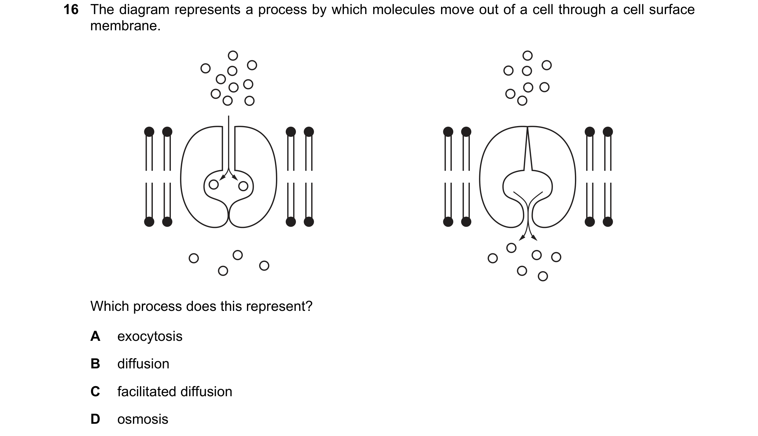 Question 202: The diagram represents a process by which molecules move out of a cell through a cell surface membrane. Which process does this represent? …
